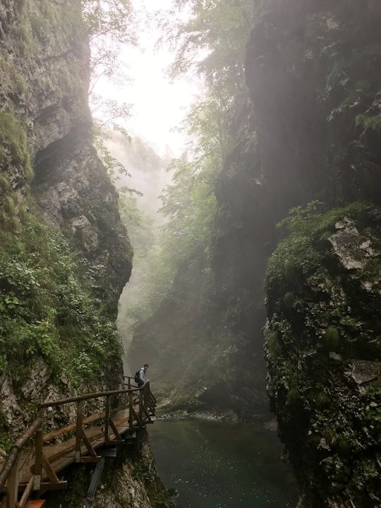 man standing on viewing deck in Podhom Slovenia