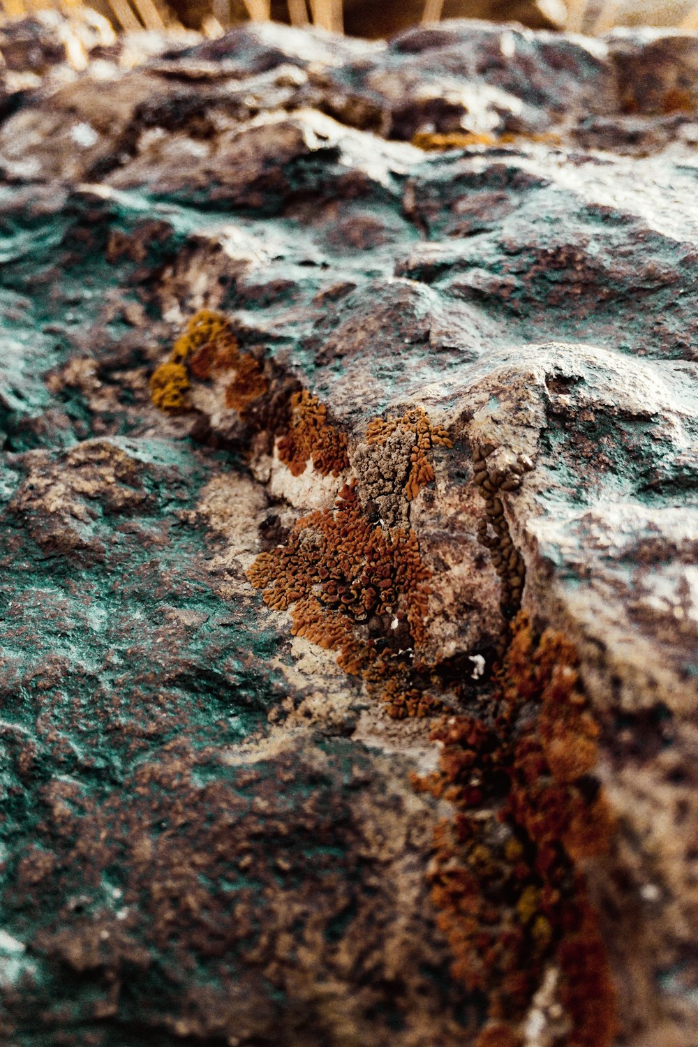 a close up of a rock with moss growing on it