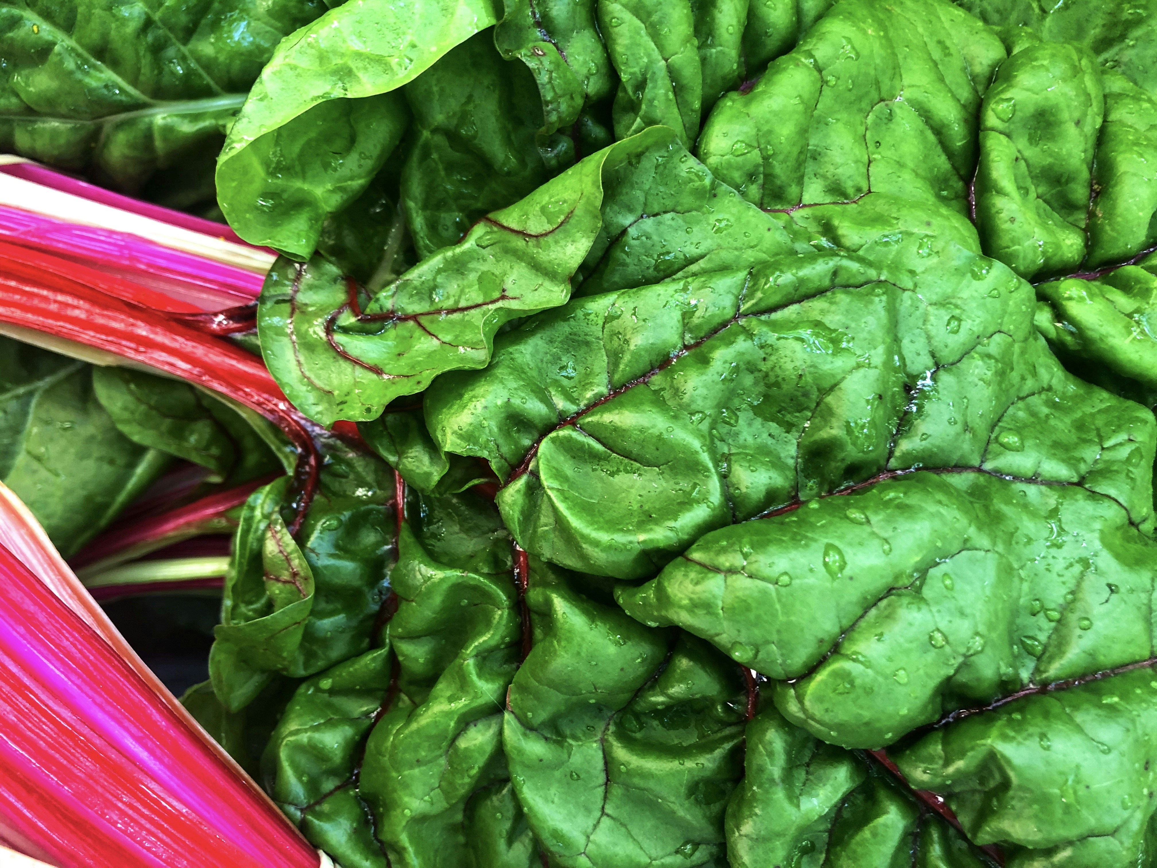 a close up of a bunch of green leafy vegetables