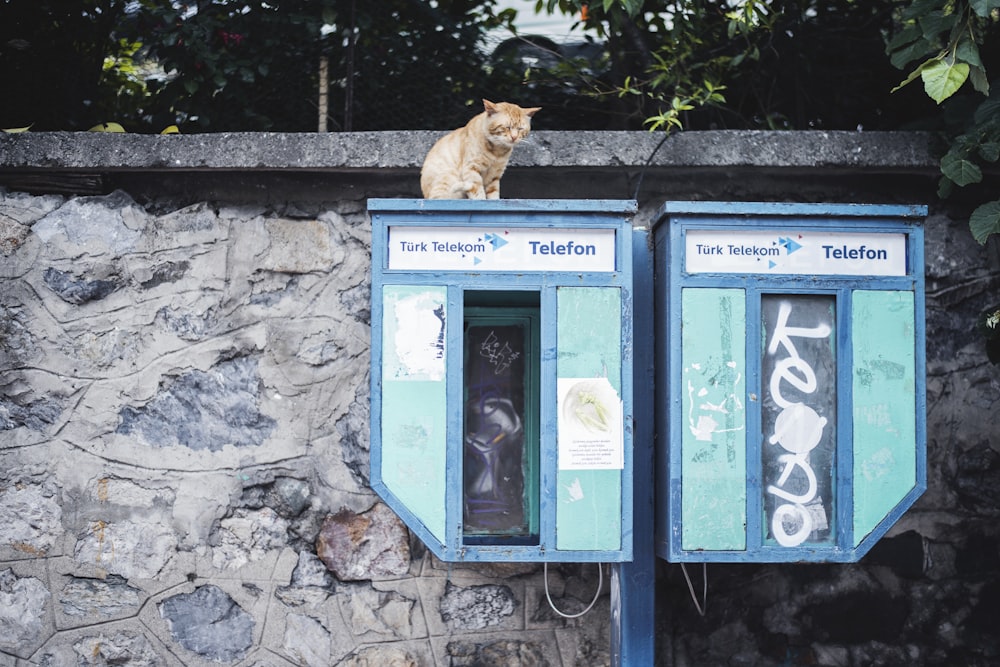 man on metal box