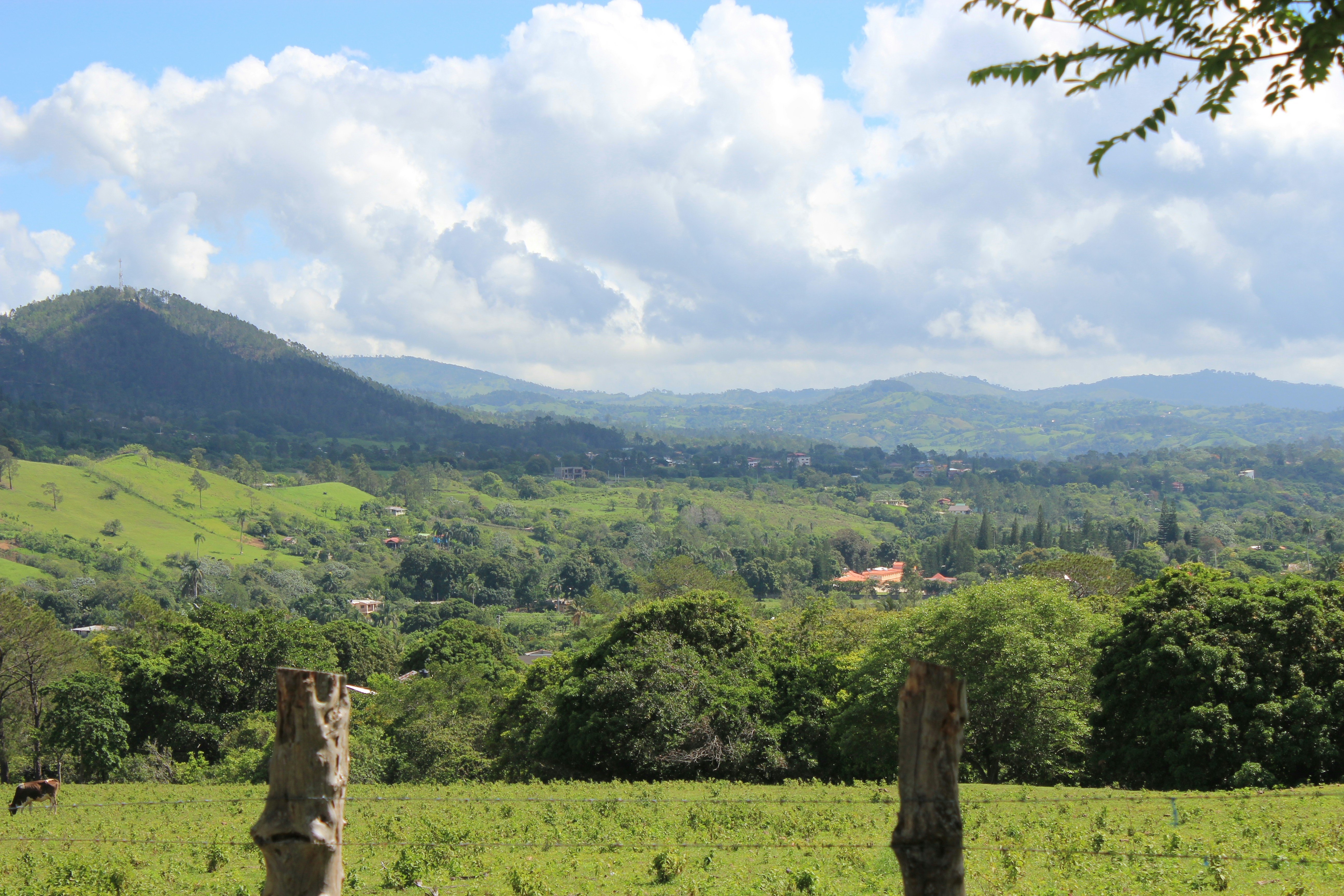 Photo by mrgreatheart