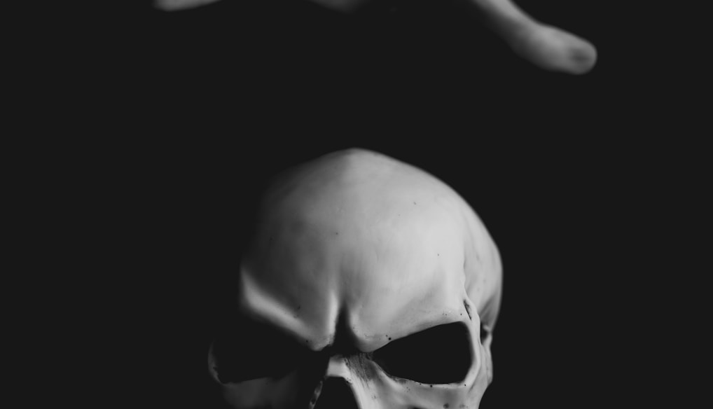 human skull