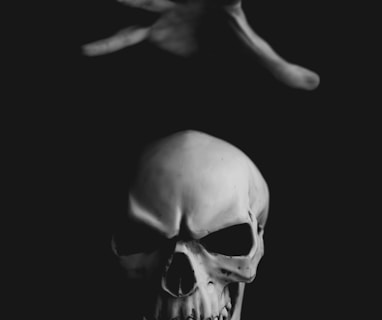 human skull