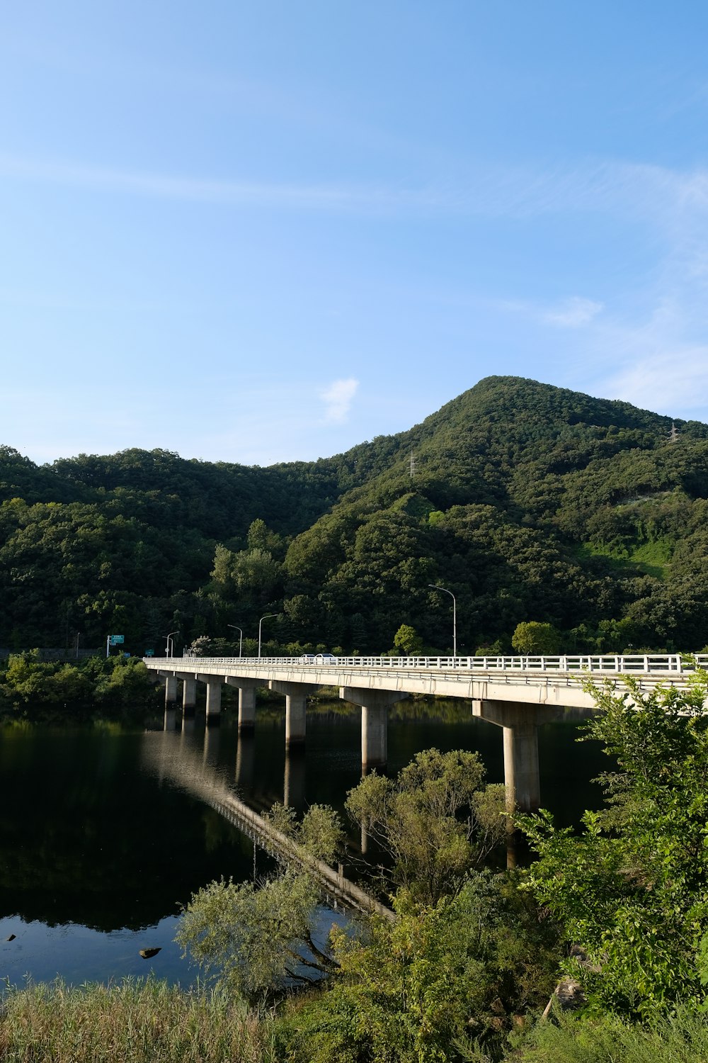 Un puente sobre un cuerpo de agua con una montaña al fondo