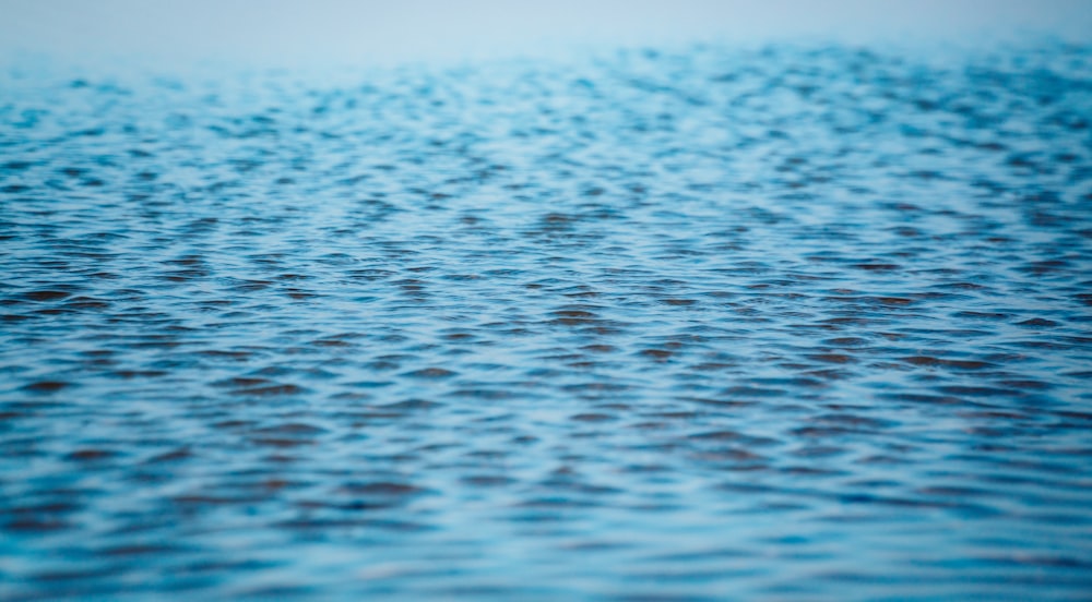 a close up view of a body of water
