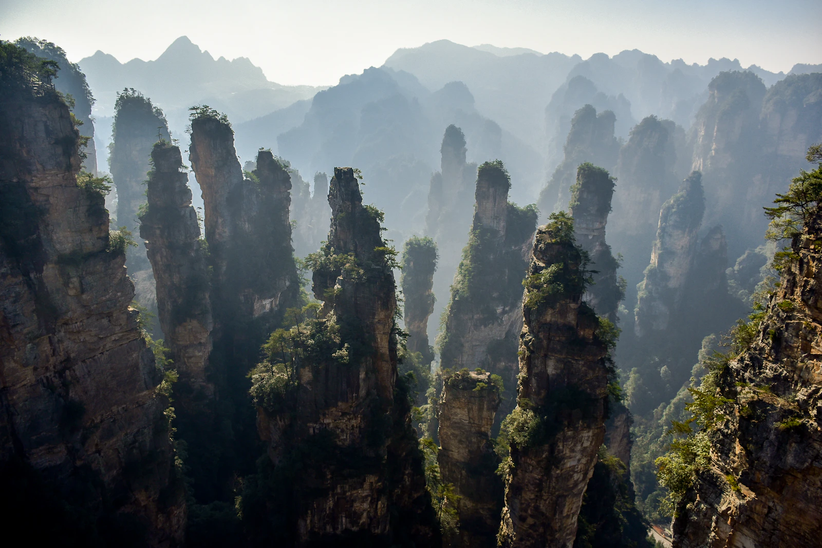 Pushine Jinfoshan Resort Hotel: Mountain Wellness near Chongqing
