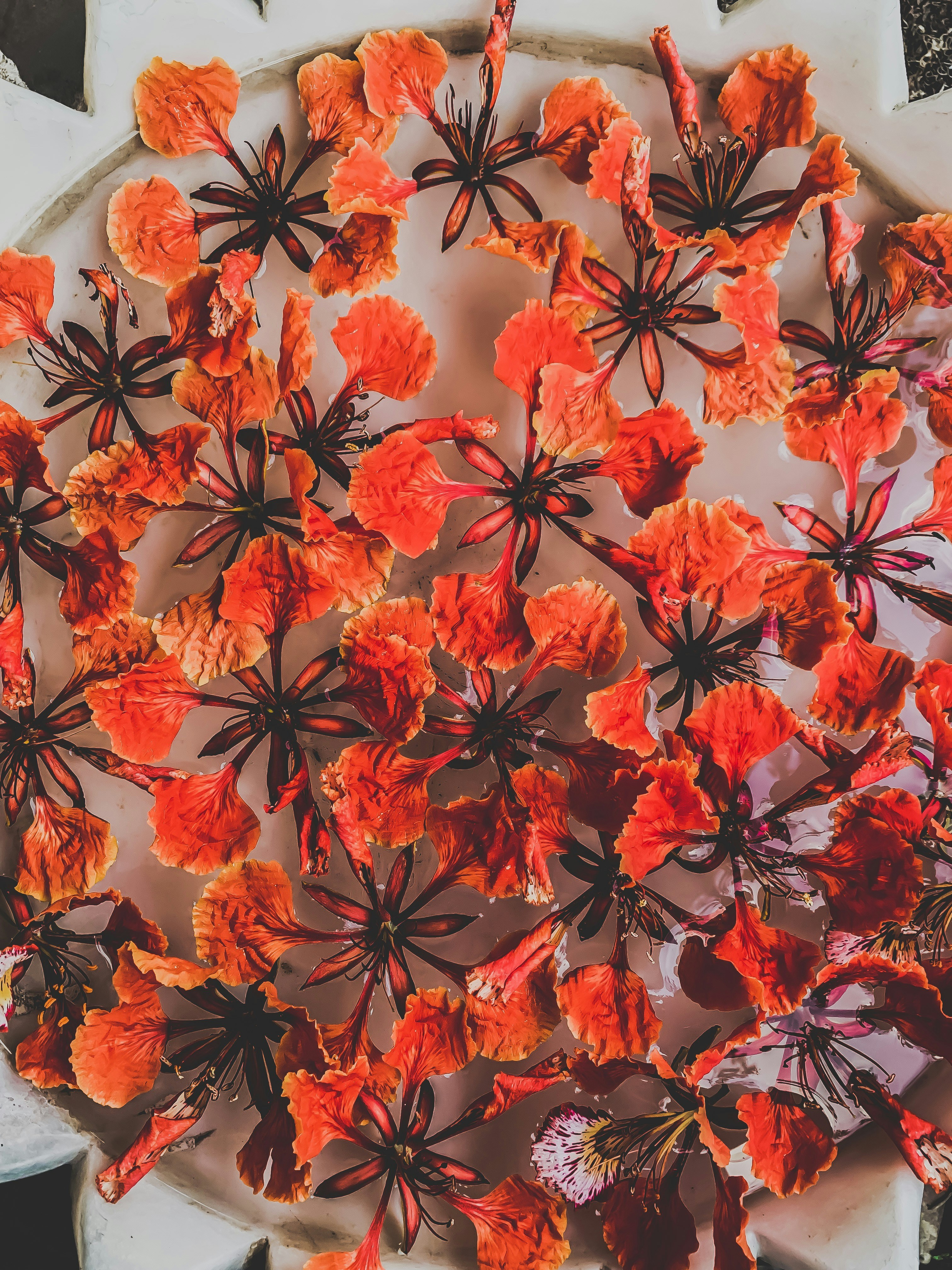 Photo by markyoursteps