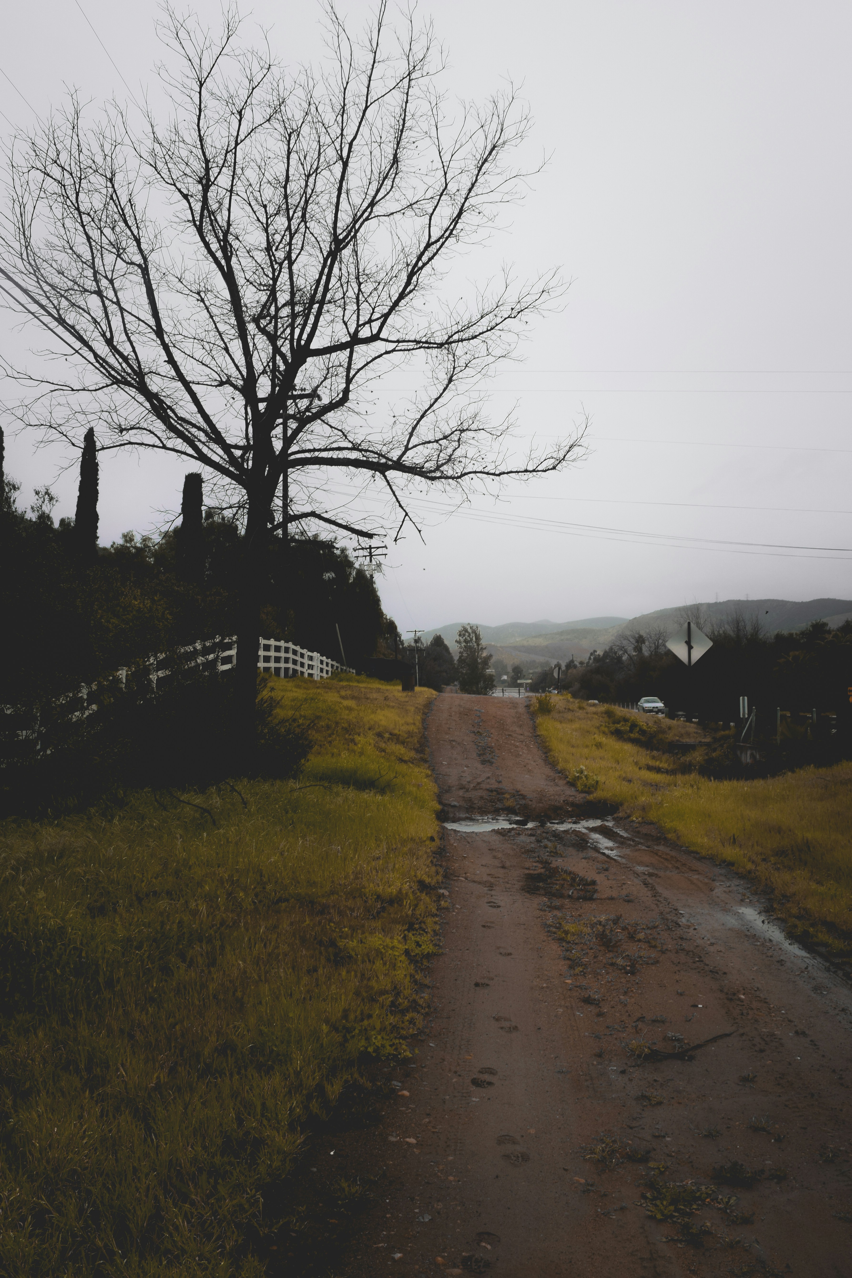 Photo by xtruh_terrestrial