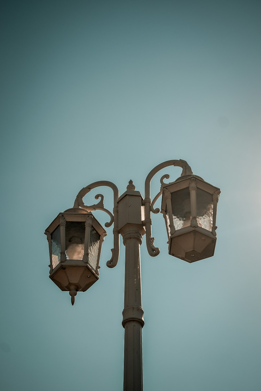 brown double-light post lamp