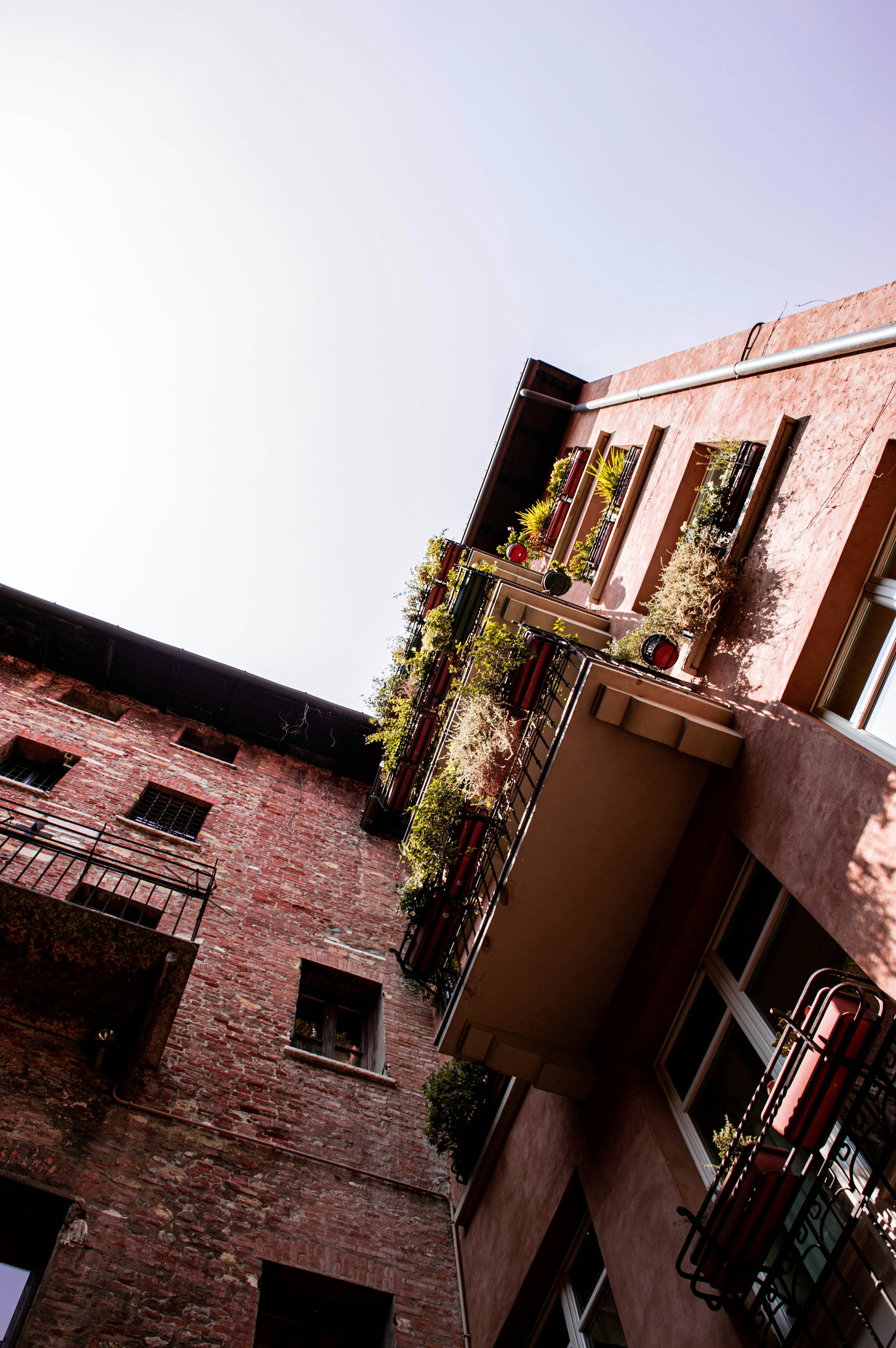 Photo by danique_dohmen