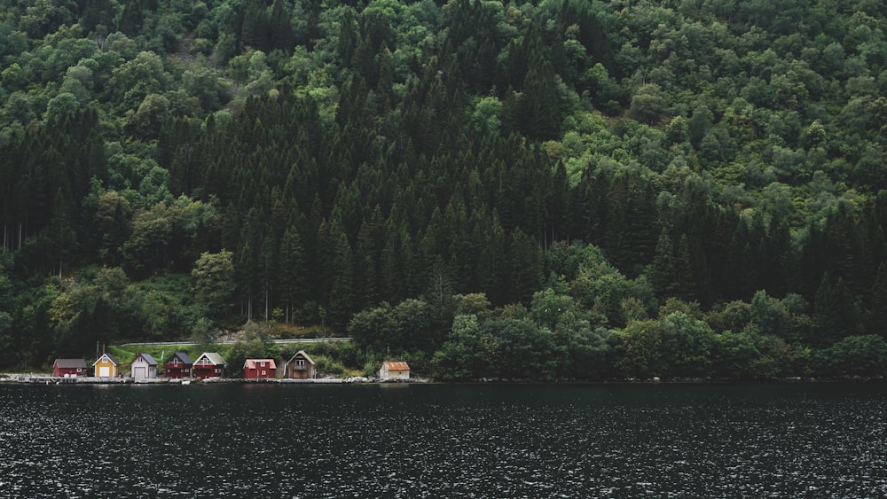 body of water and assorted-color houses