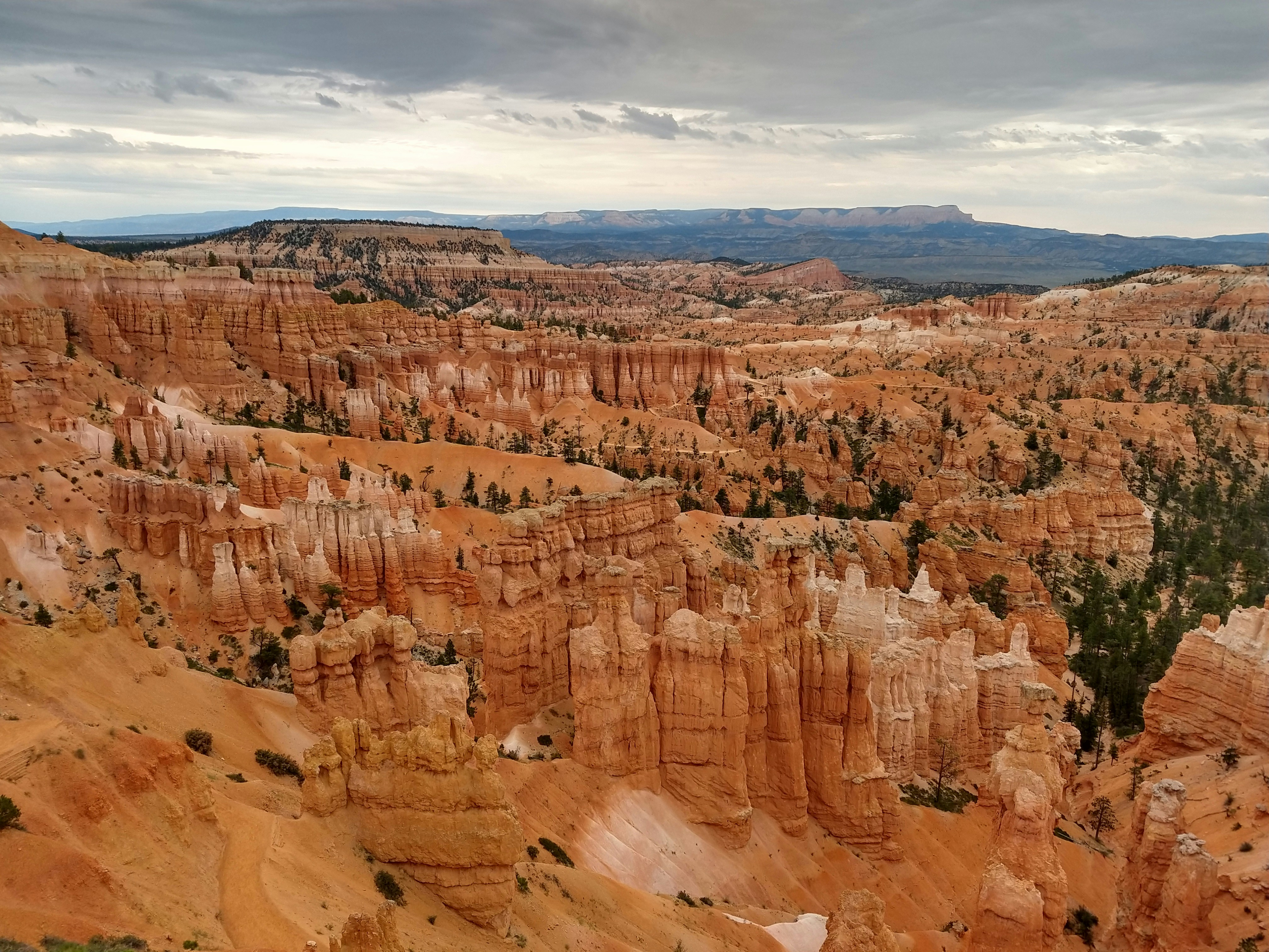 Photo by jurjen_broos