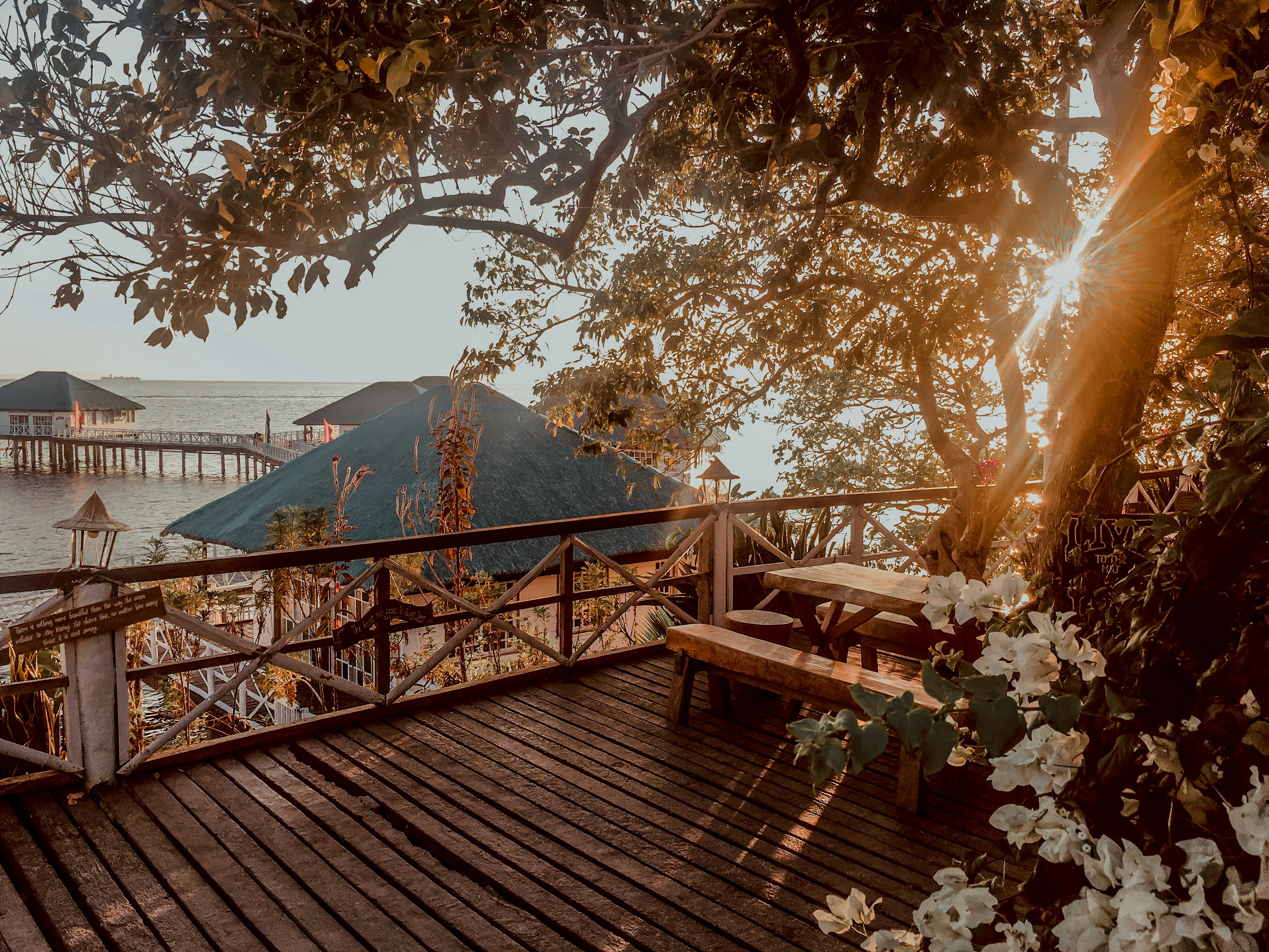 chair beside table under tree - stilts beach resort calatagan batangas