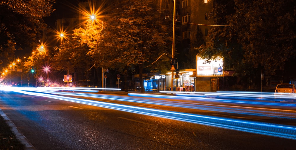 black concrete road near trees at nighttime