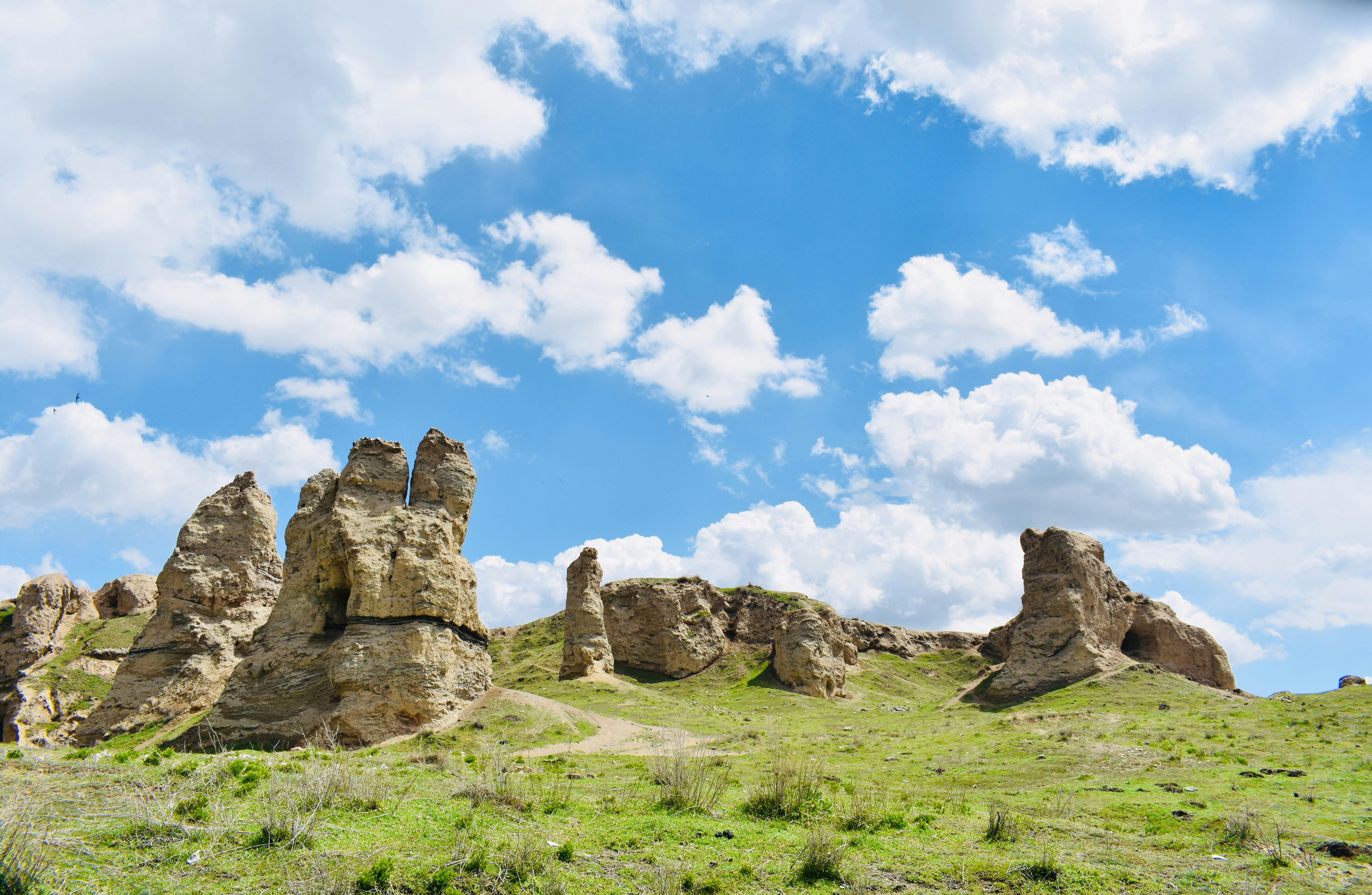 Photo by rouzbehfalaki