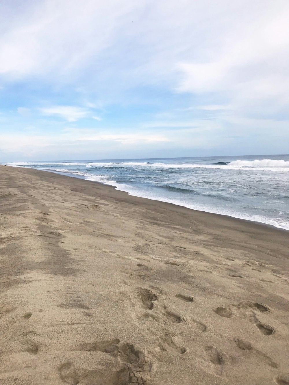 seashore during daytime