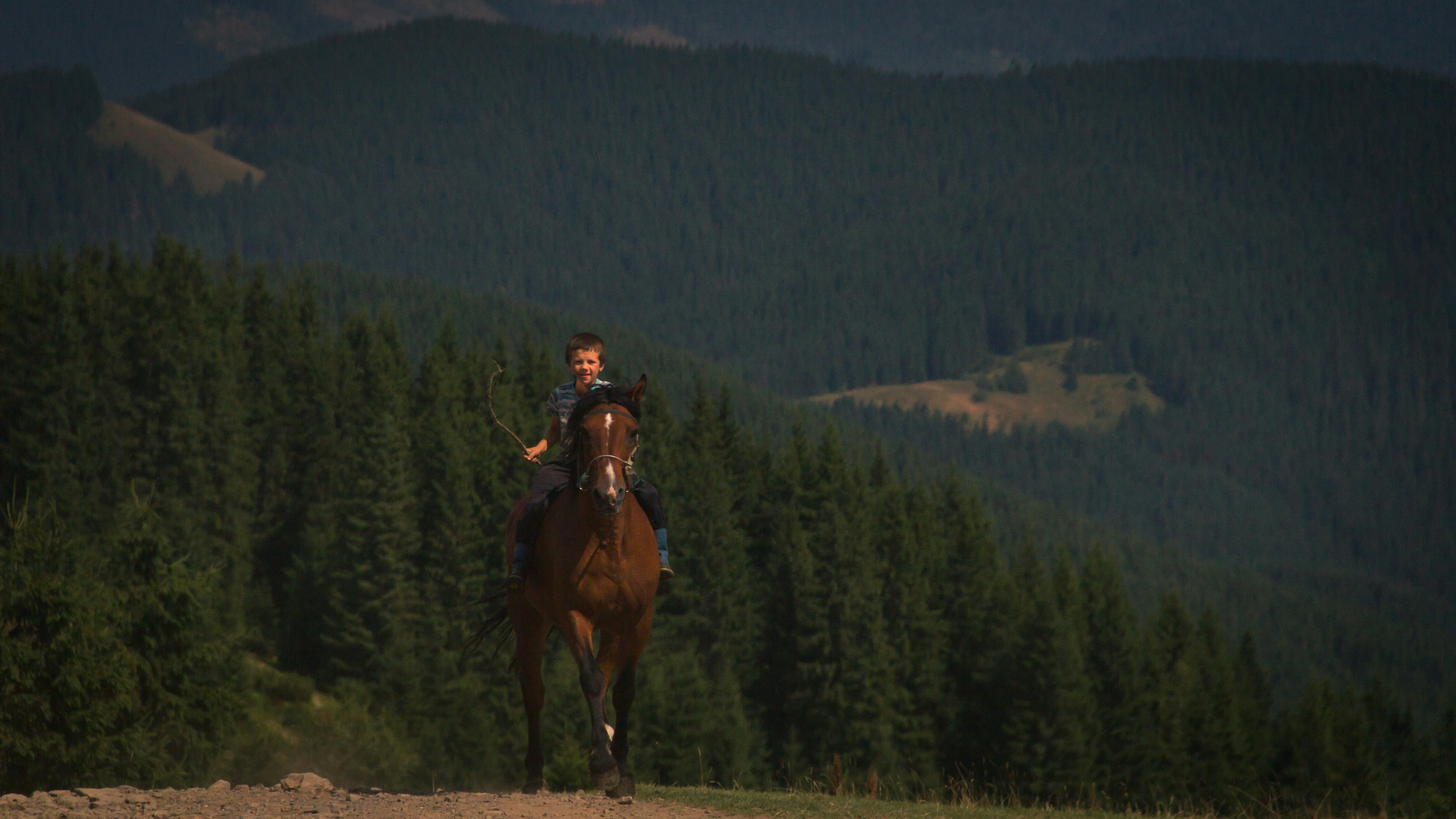 Photo by serhii_stets