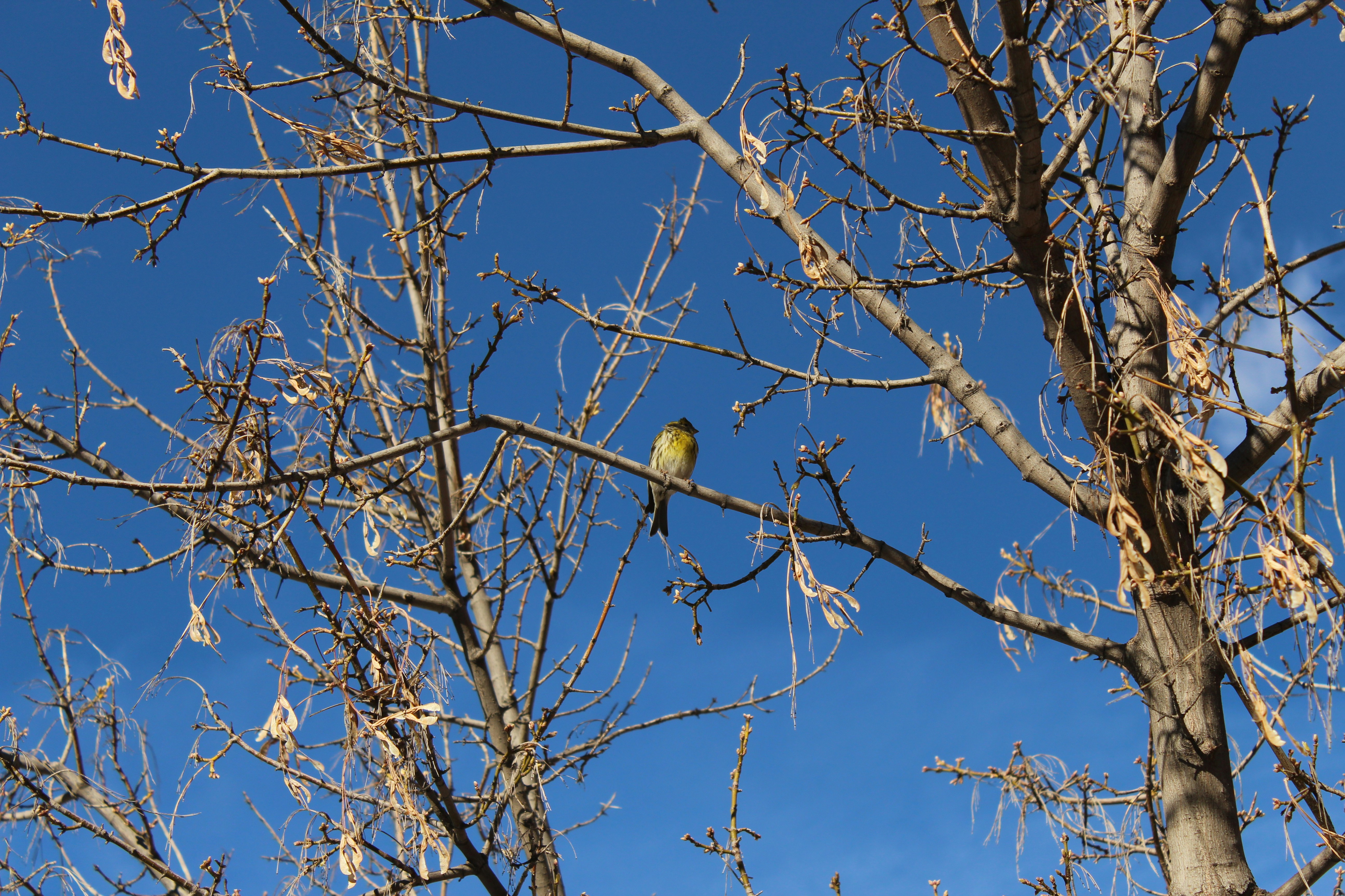 Photo by ce_dominguez