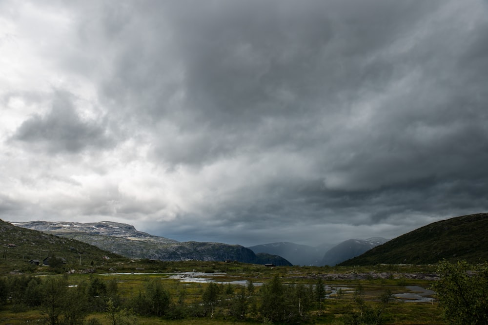 white clouds