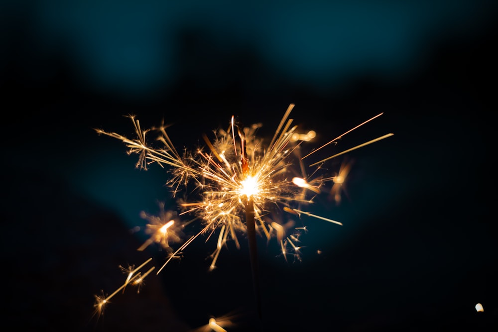 fireworks at night time