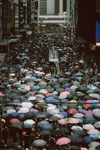 person holding umbrellas on road at daytime