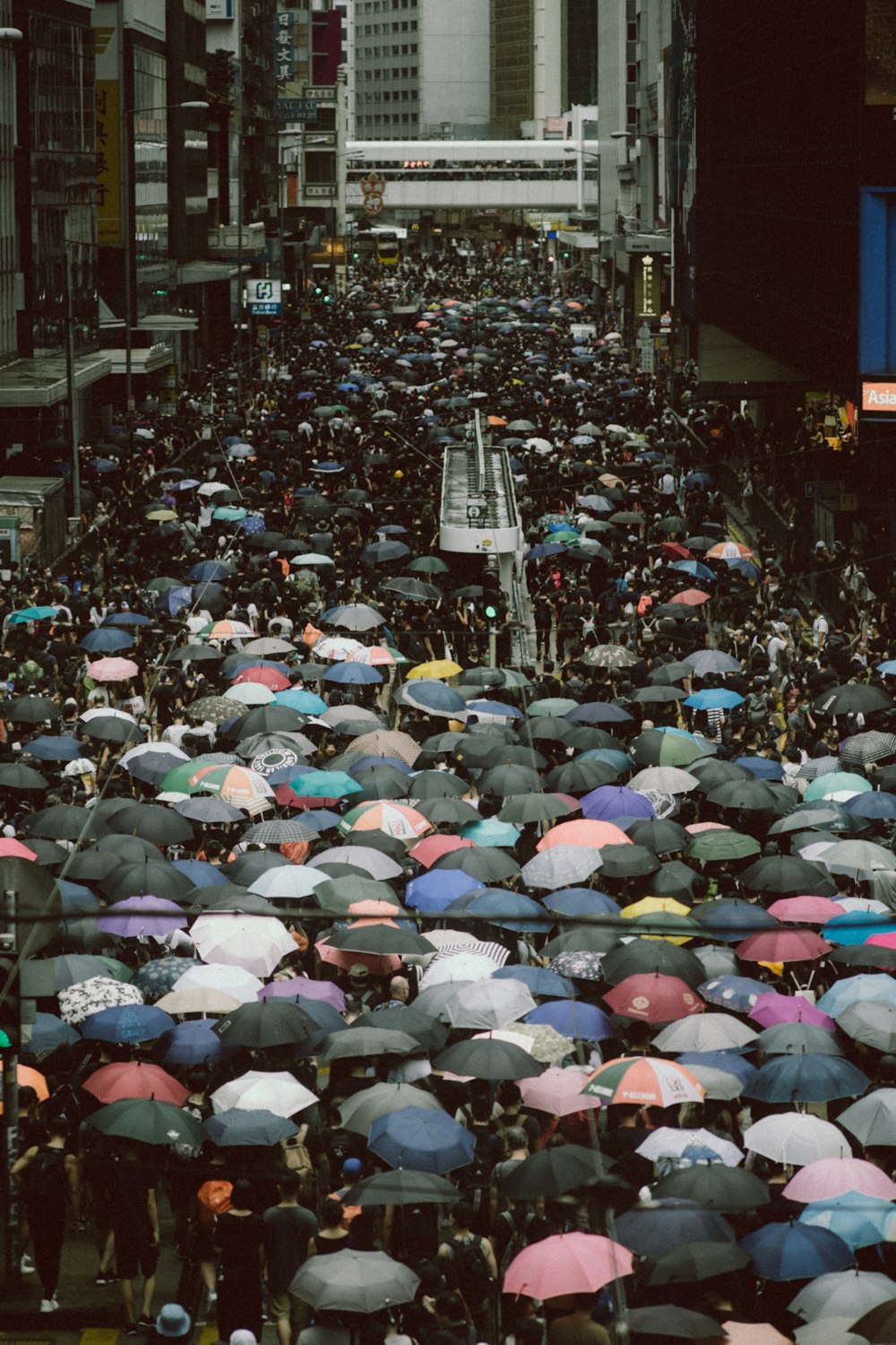 昼間、道路で傘をさす人