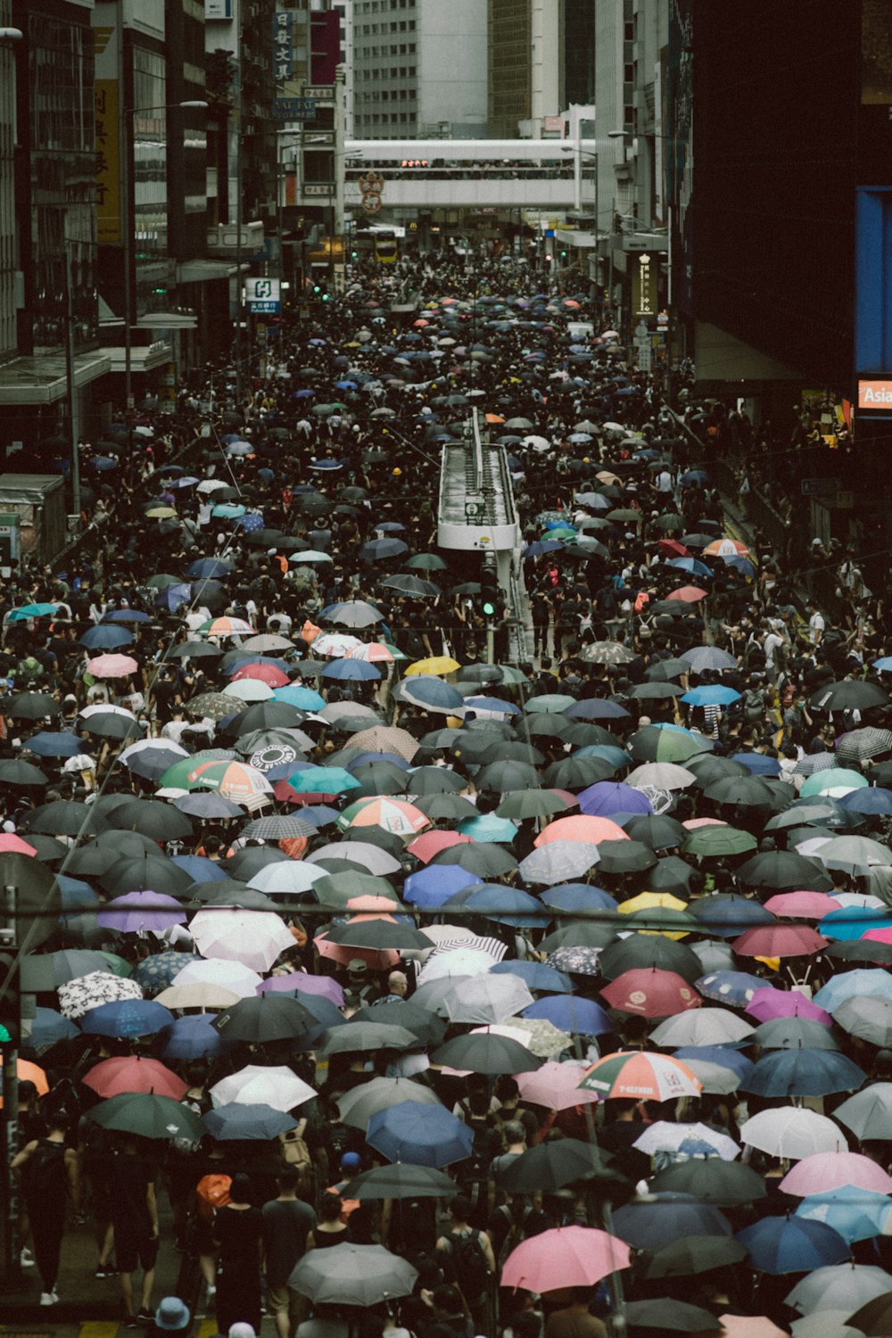 person holding umbrellas on road at daytime