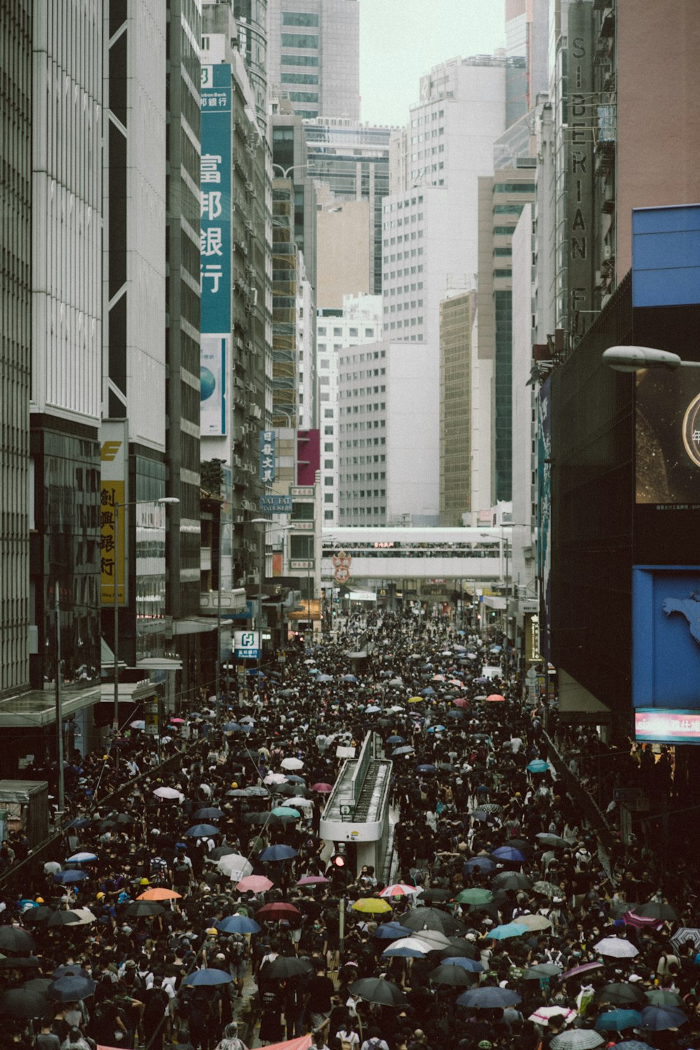 people walking on paved road