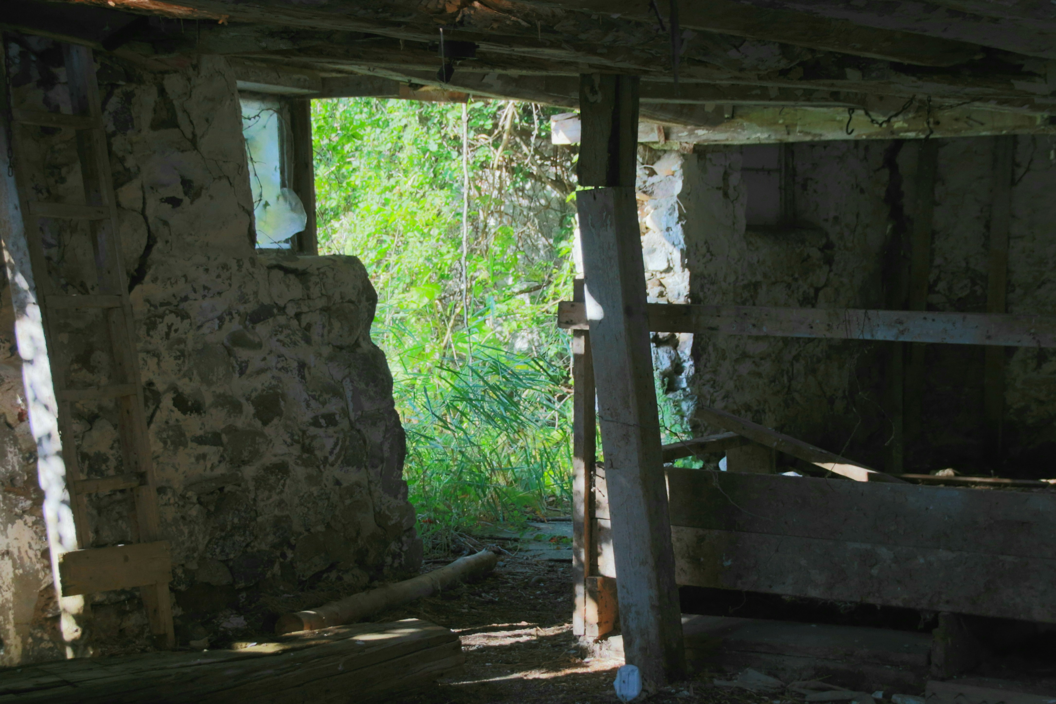 Photo by richardworks