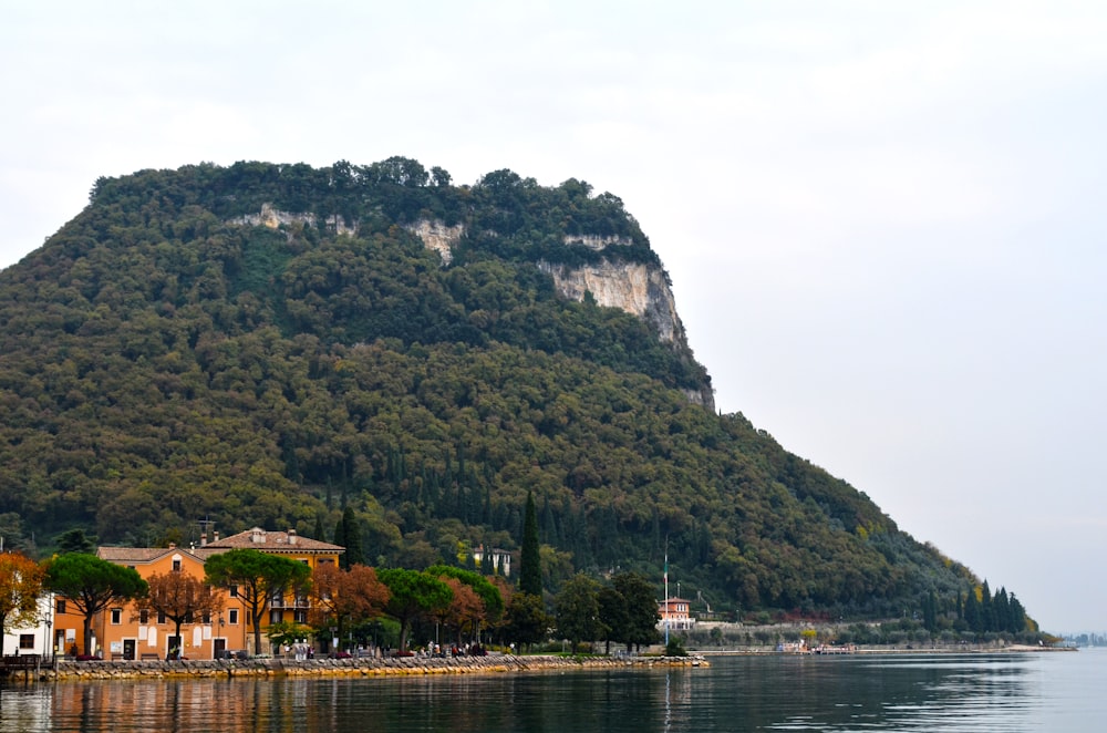 green trees near buildings beside body of water