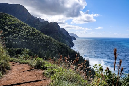 seashore during daytime