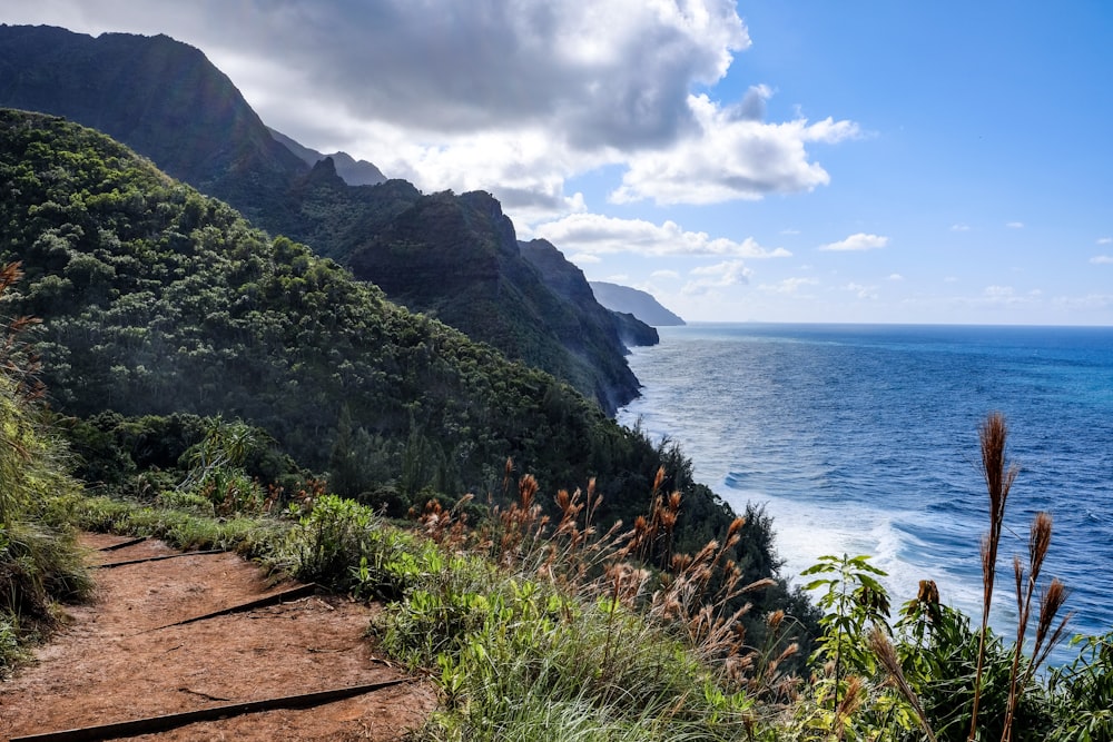 日中の海岸