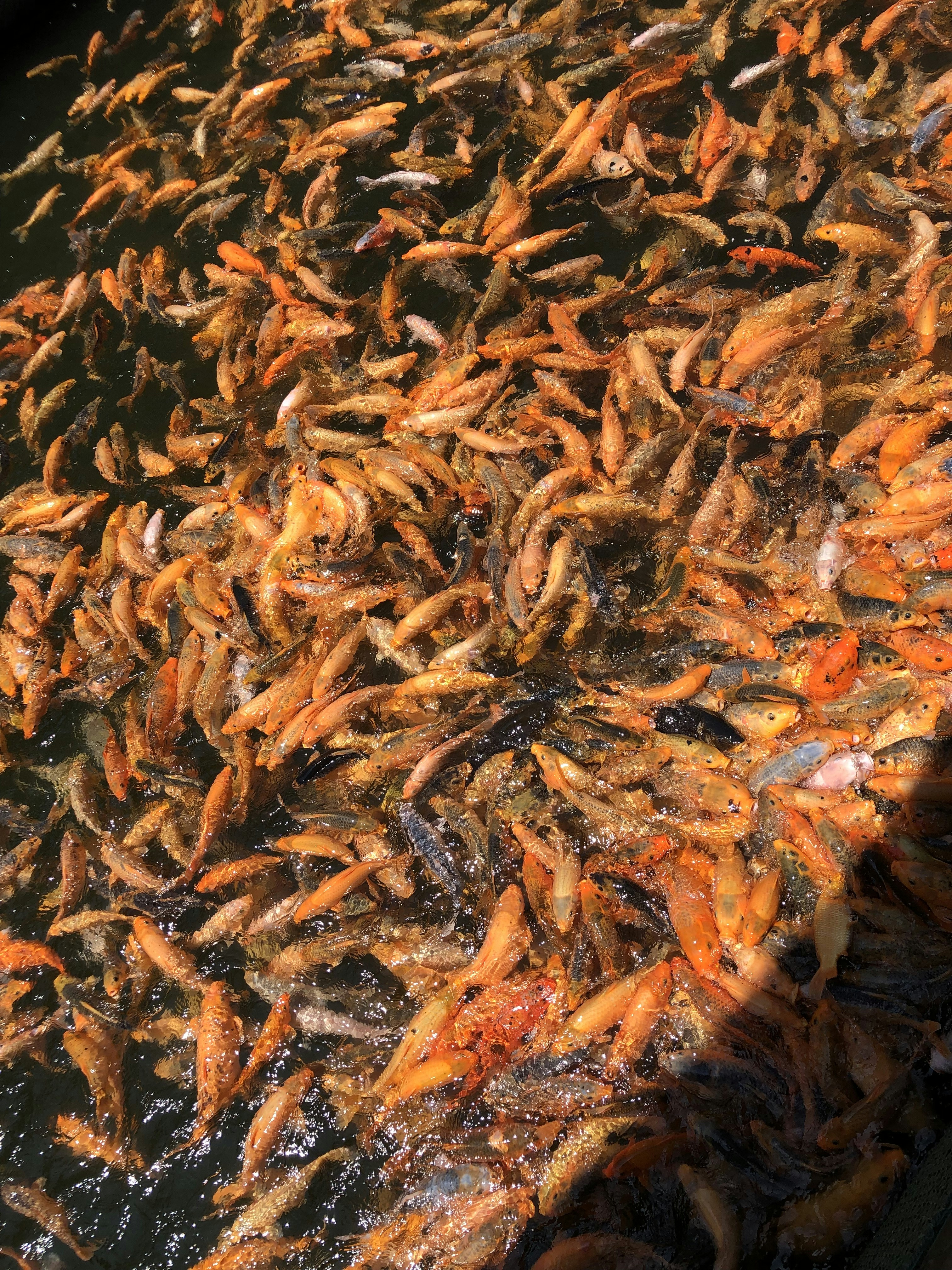 Photo by yxjyxjyxj123