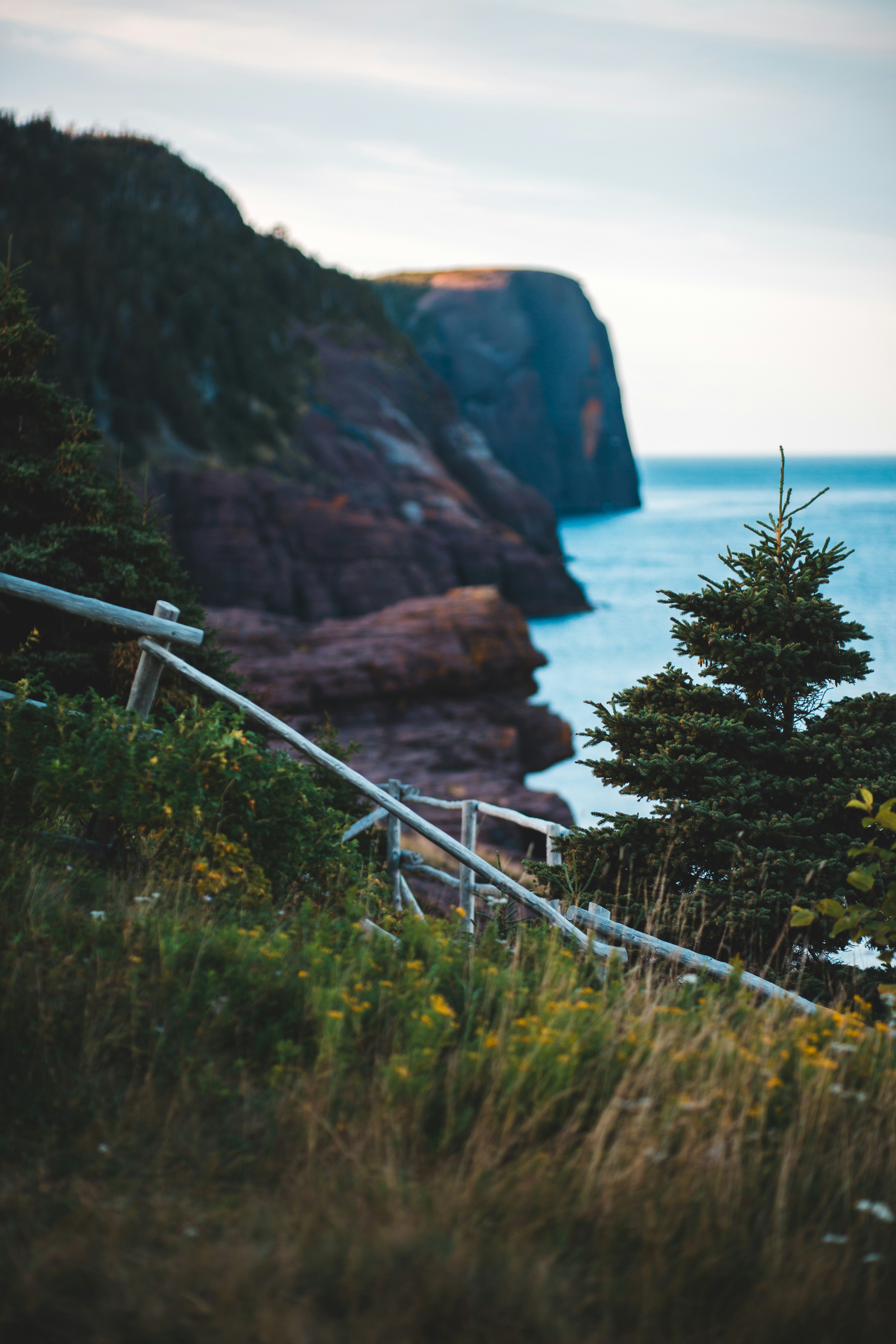 Photo by introspectivedsgn