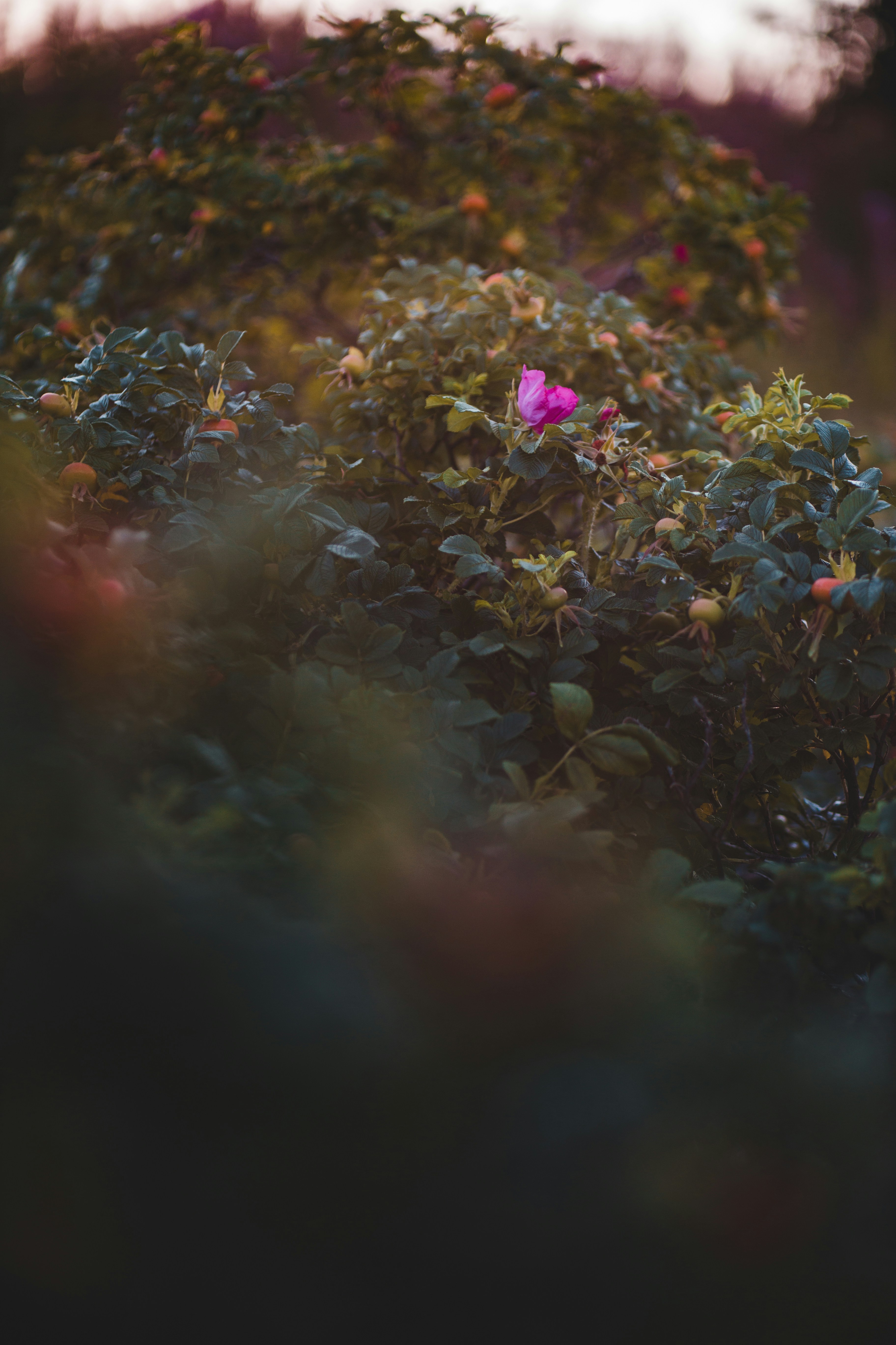 Photo by introspectivedsgn