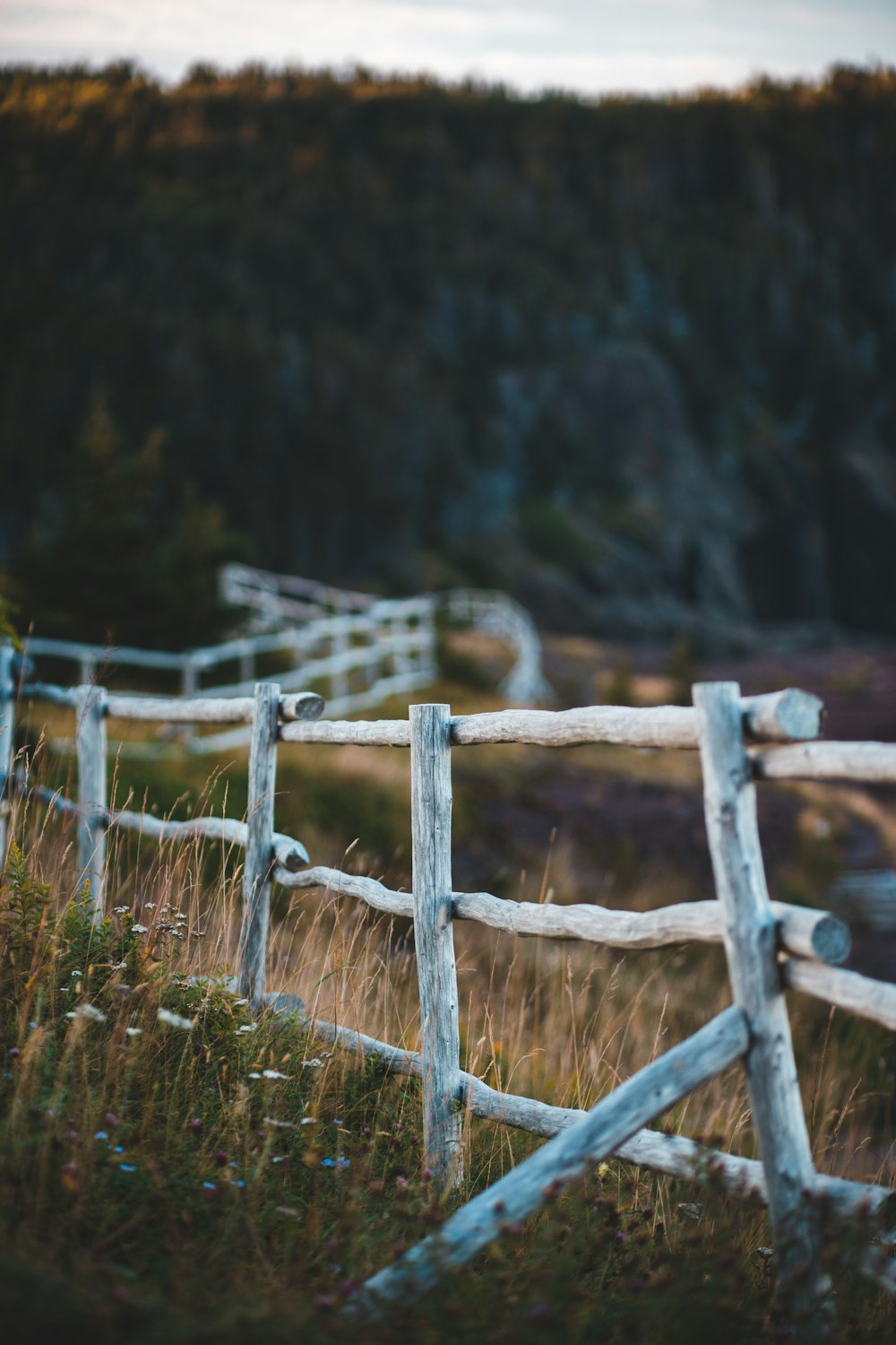 white and black wooden fence close-up photography