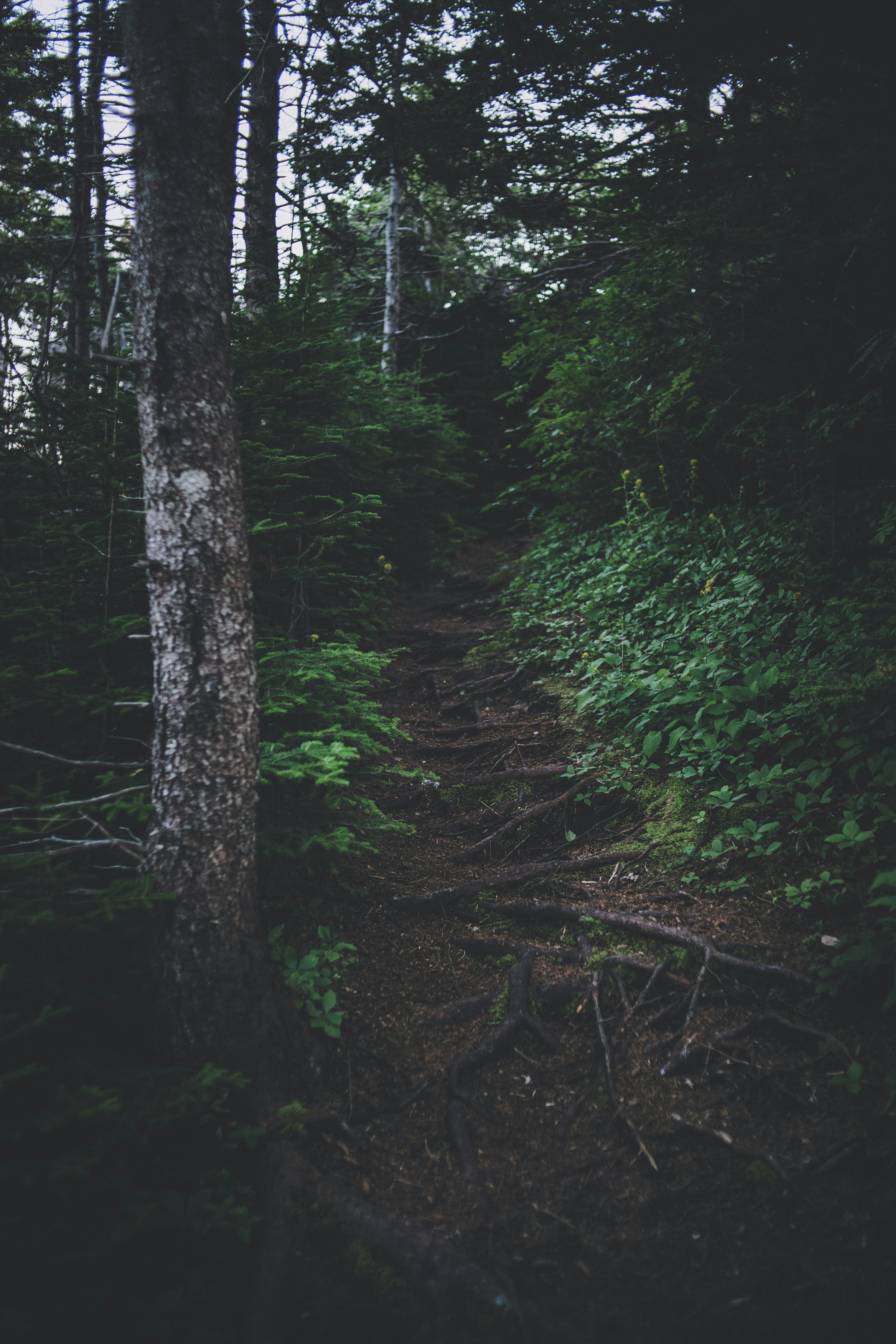 Photo by introspectivedsgn