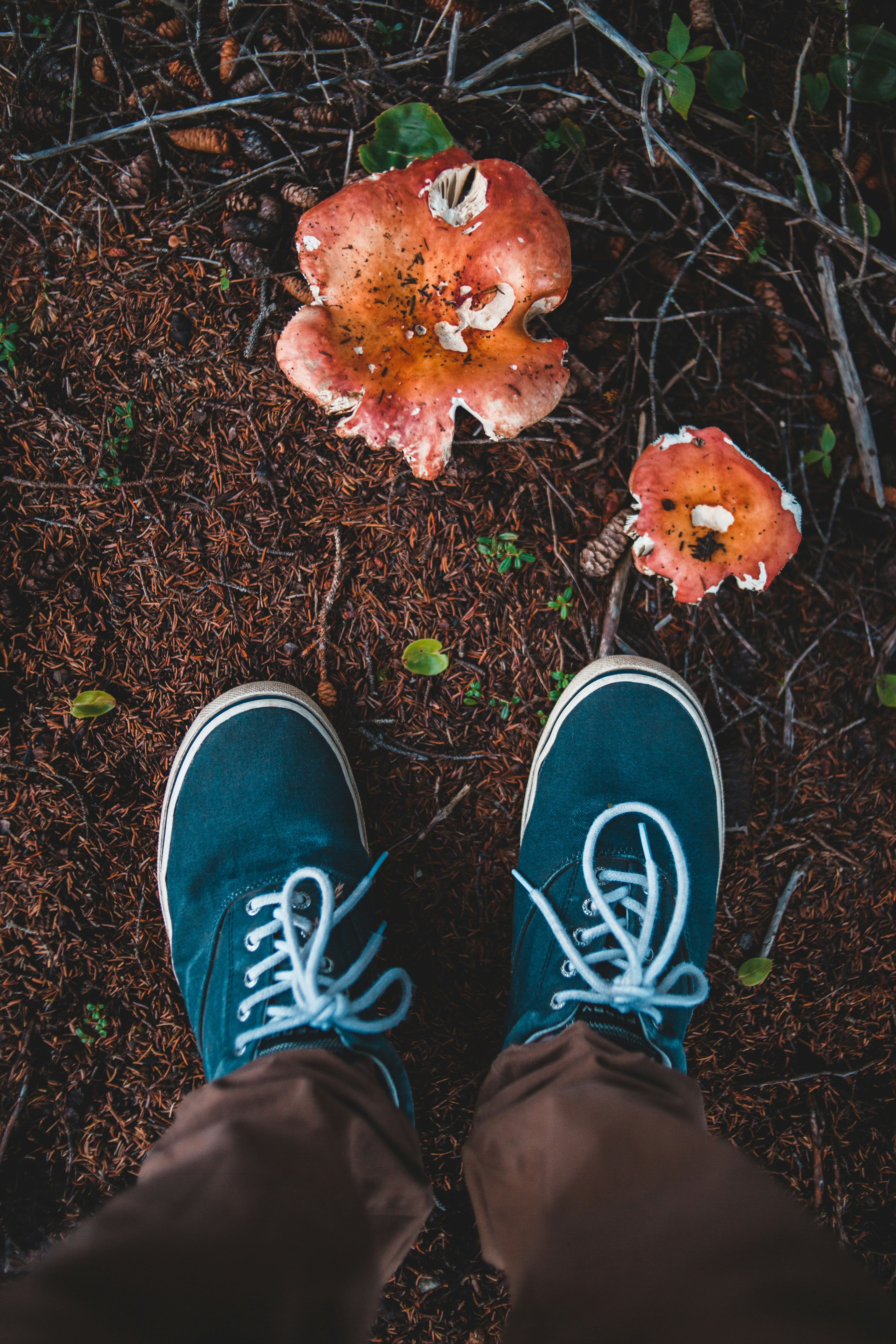 Photo by introspectivedsgn