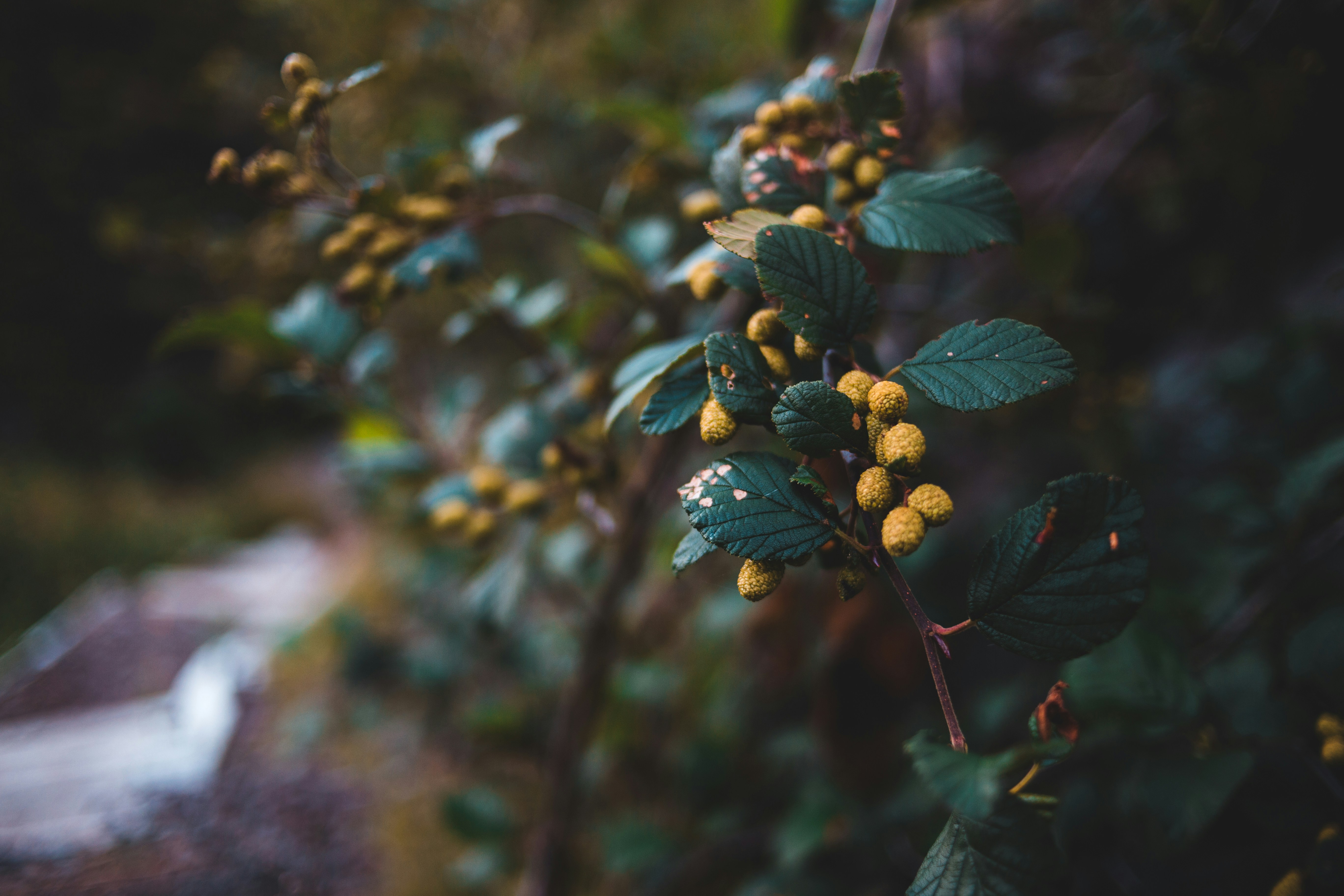 Photo by introspectivedsgn