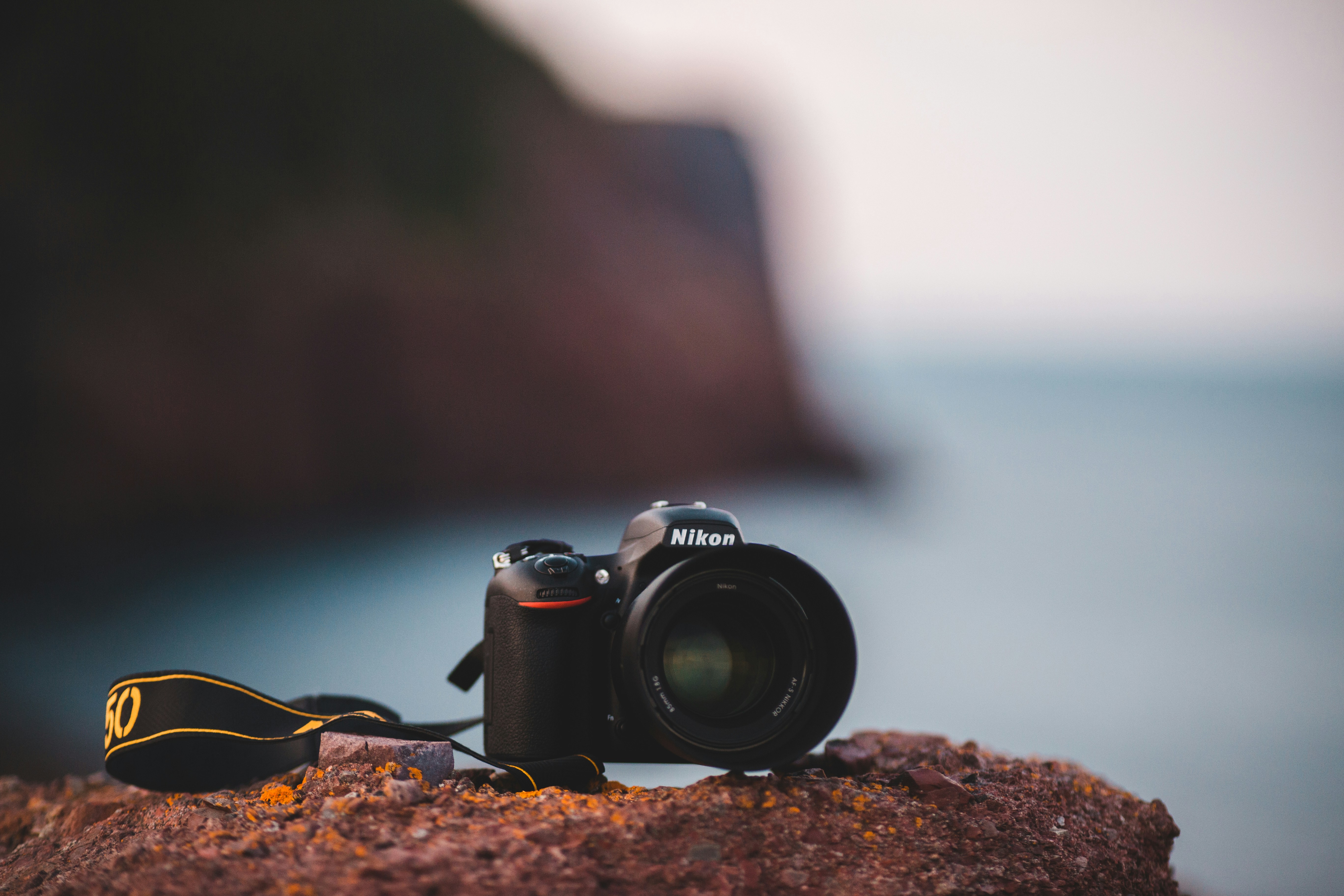 Photo by introspectivedsgn