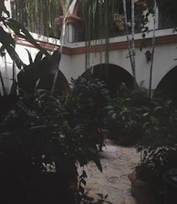 Sunlit courtyard showcasing intricate brick patterns and lush tropical plants.
