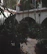 Balcony view overlooking the serene inner courtyard filled with tropical plants.