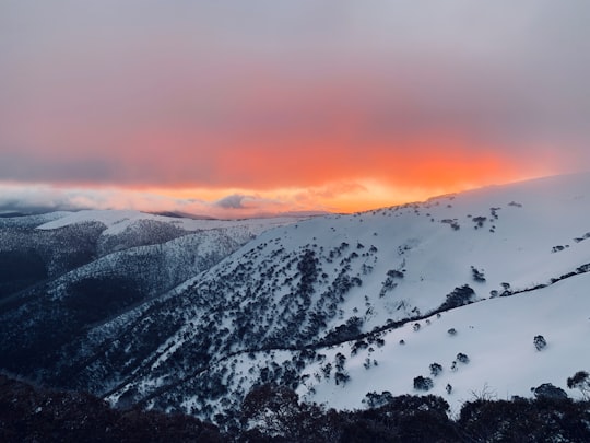 snow covered mountain and gray clouds in Mount Hotham Australia