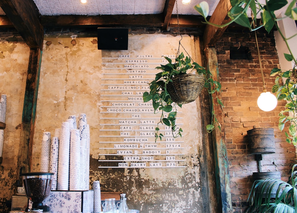 plants in pot hanging near wall