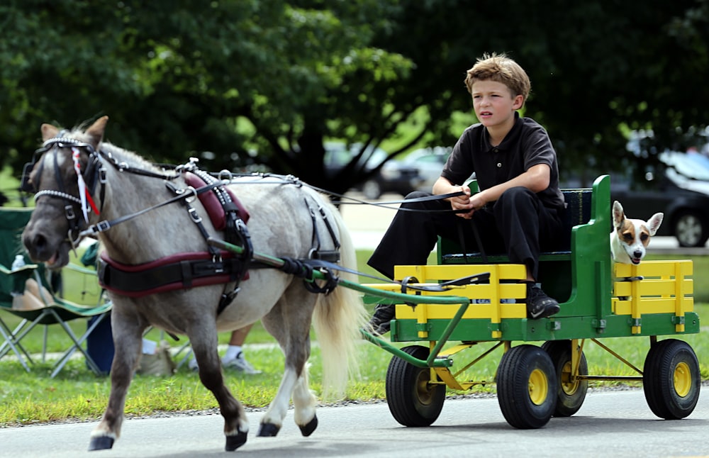 man riding horse with carriage