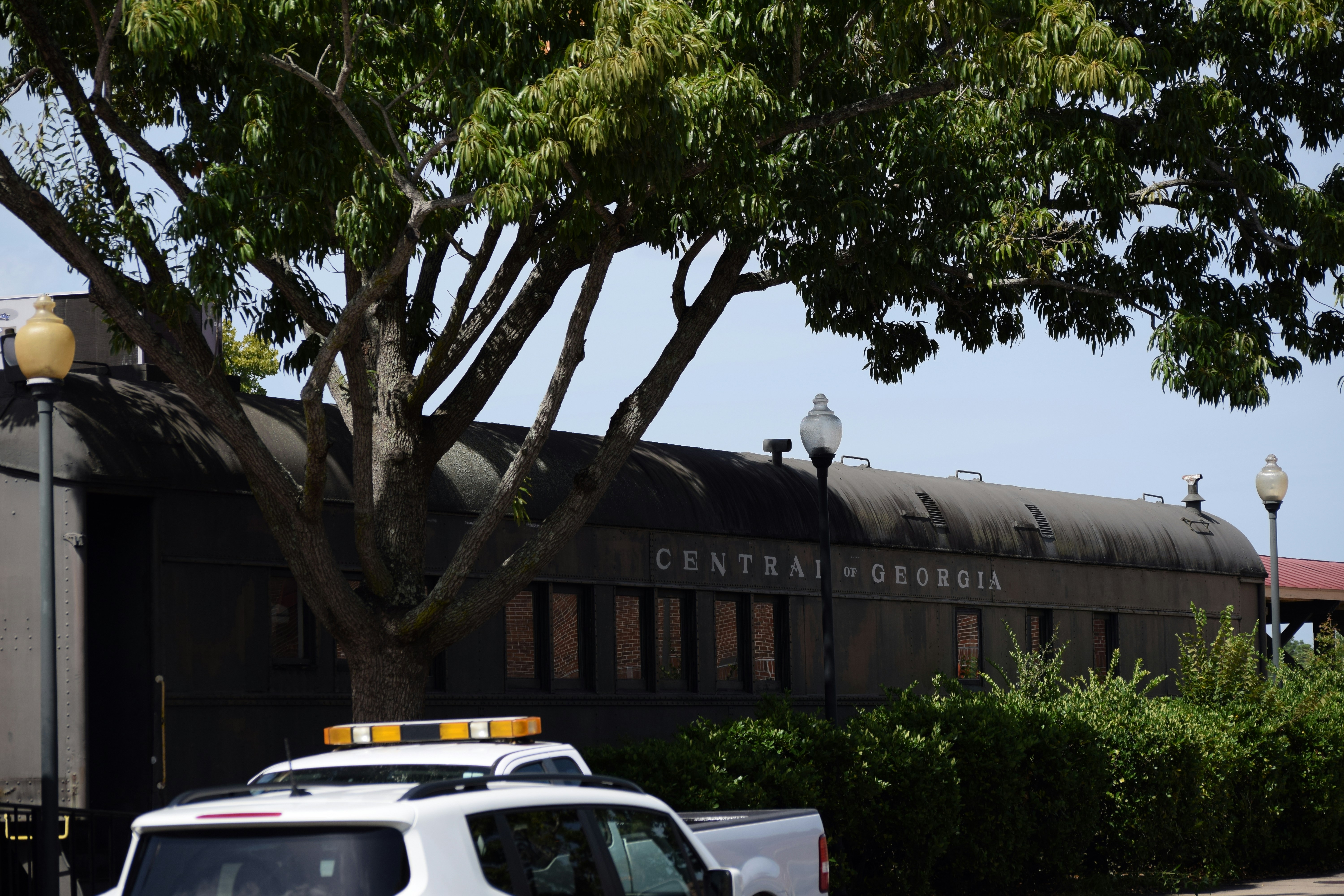 photo-1567306085744-889ba20341bb أبسطهالك: أفضل شركة لخدمات حكومية في جورجيا