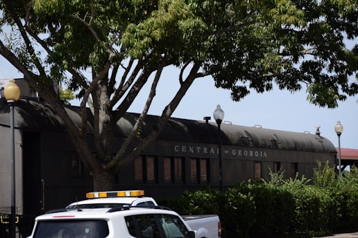 A vintage train car with the words 'Central of Georgia' is positioned behind a large tree, surrounded by greenery. The scene is illuminated by sunlight on a clear day, and there are several street lamps visible. In the foreground, a white vehicle with a roof-mounted light is partially visible.