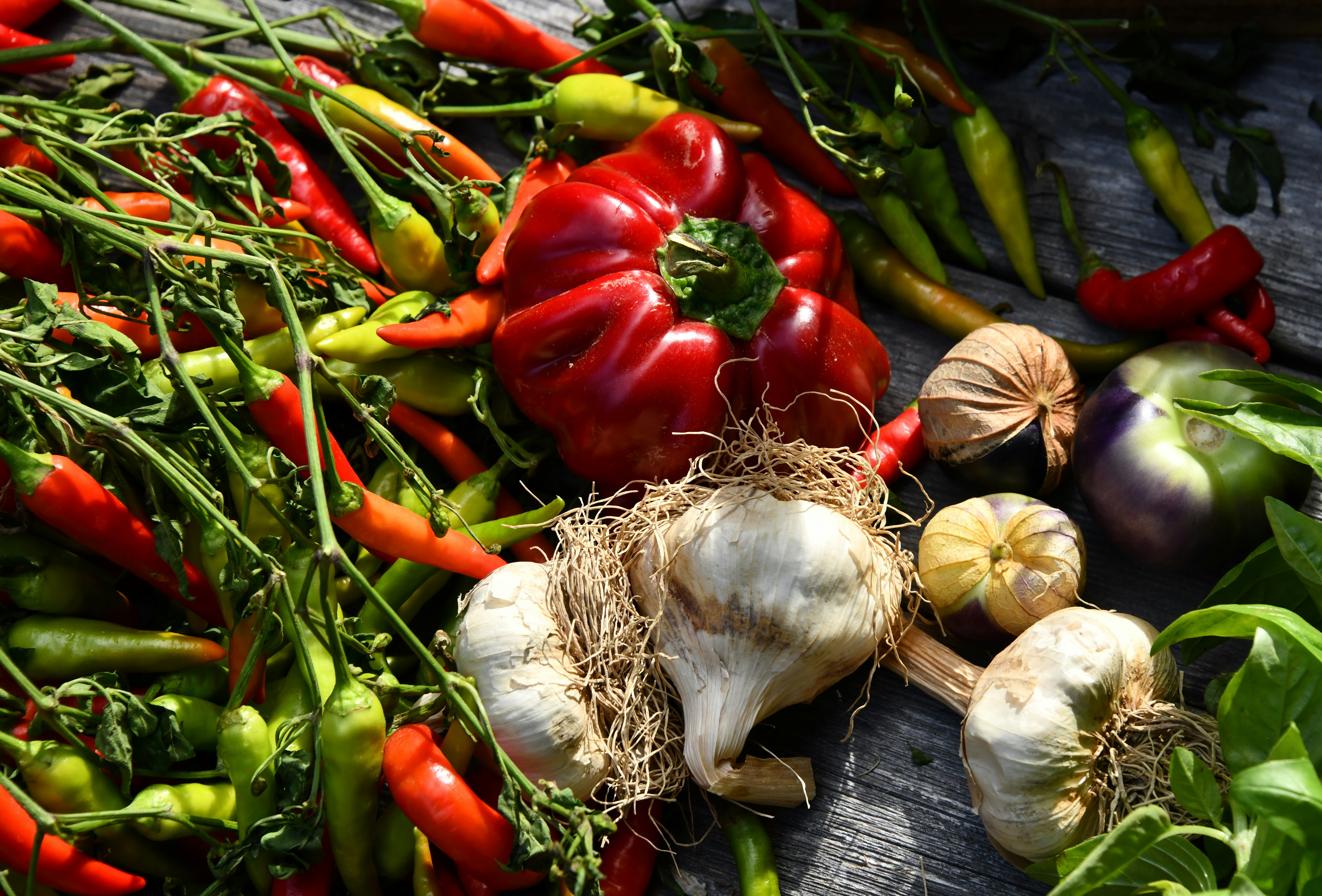 garlic and chili lot