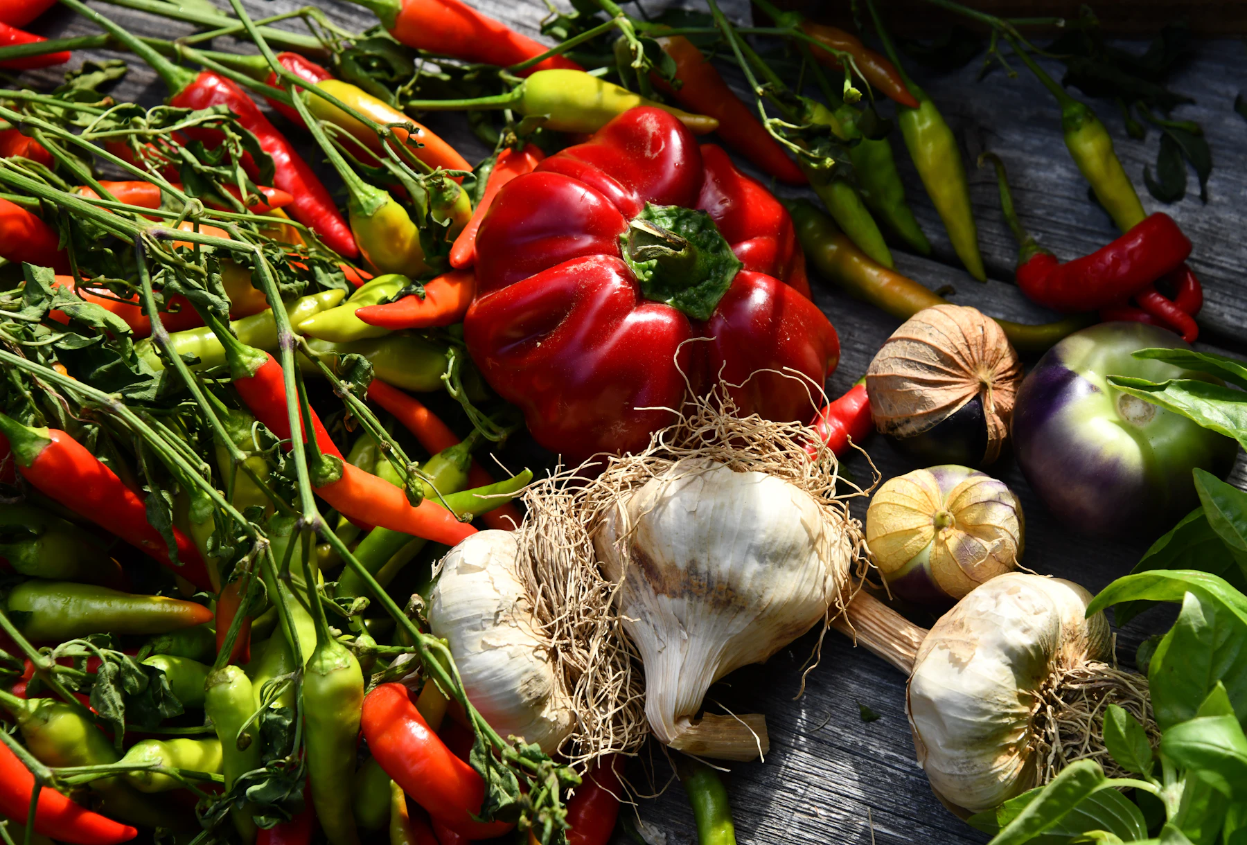 Fresh red and green chiles, heads of garlic and husked tomatillos piled on weathered wood
