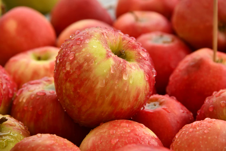 Fruta revisada para conteo